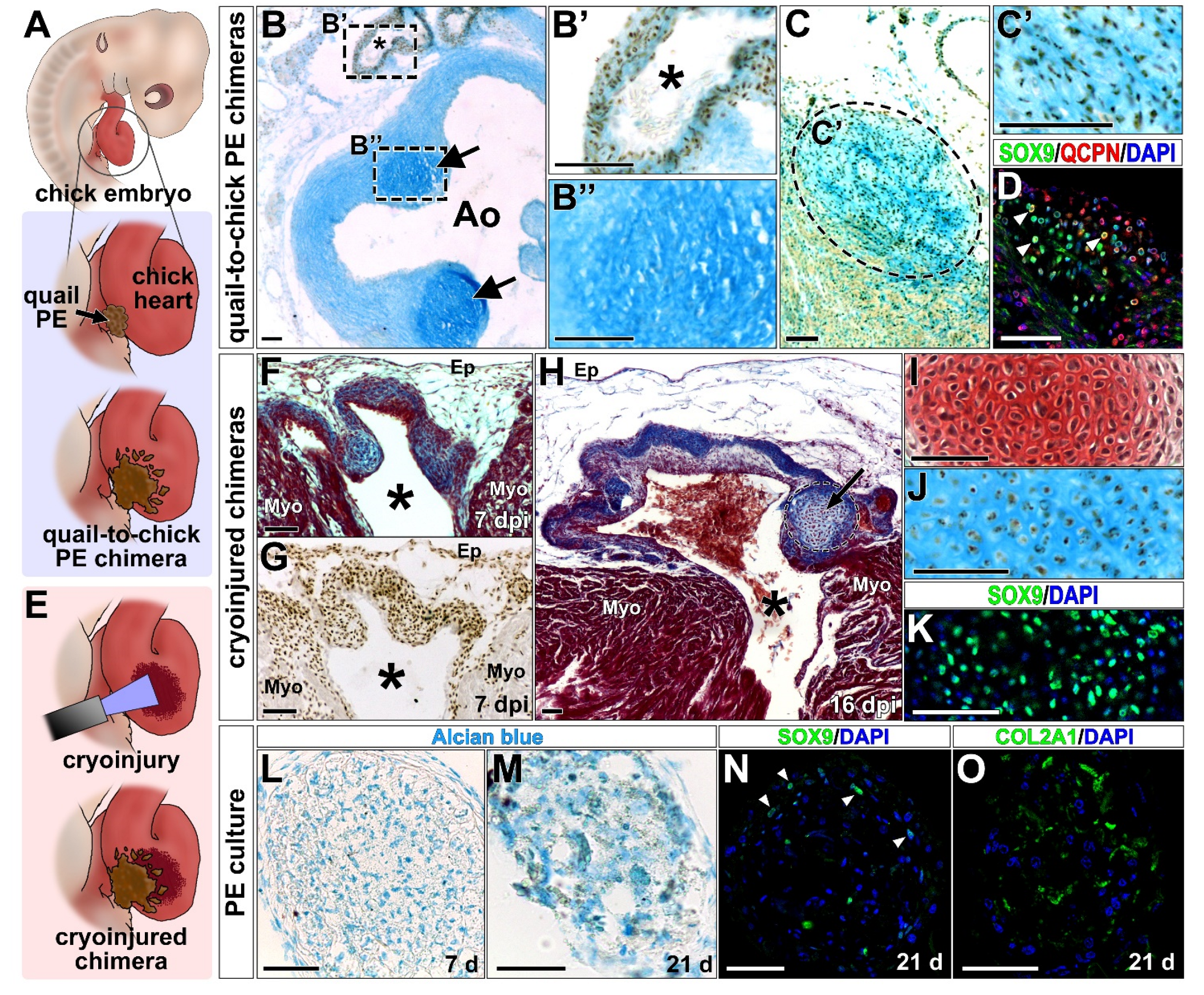 Ijms 23 03614 g002 Ijms 23 03614 g002