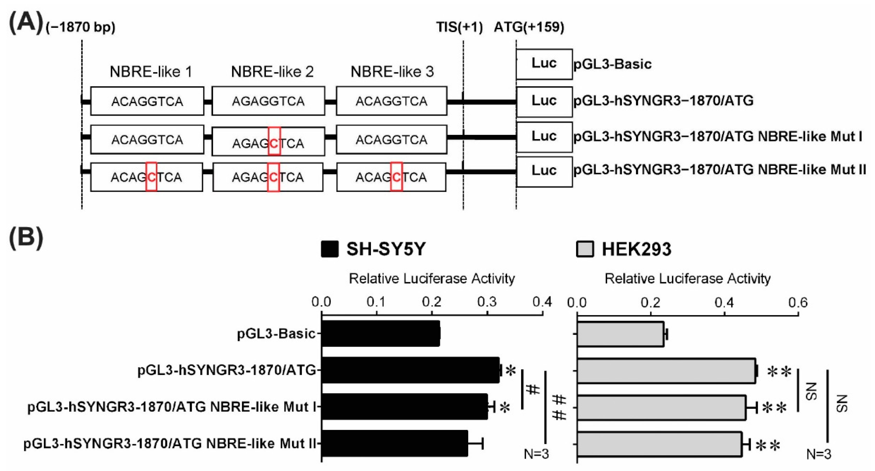 Ijms 23 03646 g005 Ijms 23 03646 g005