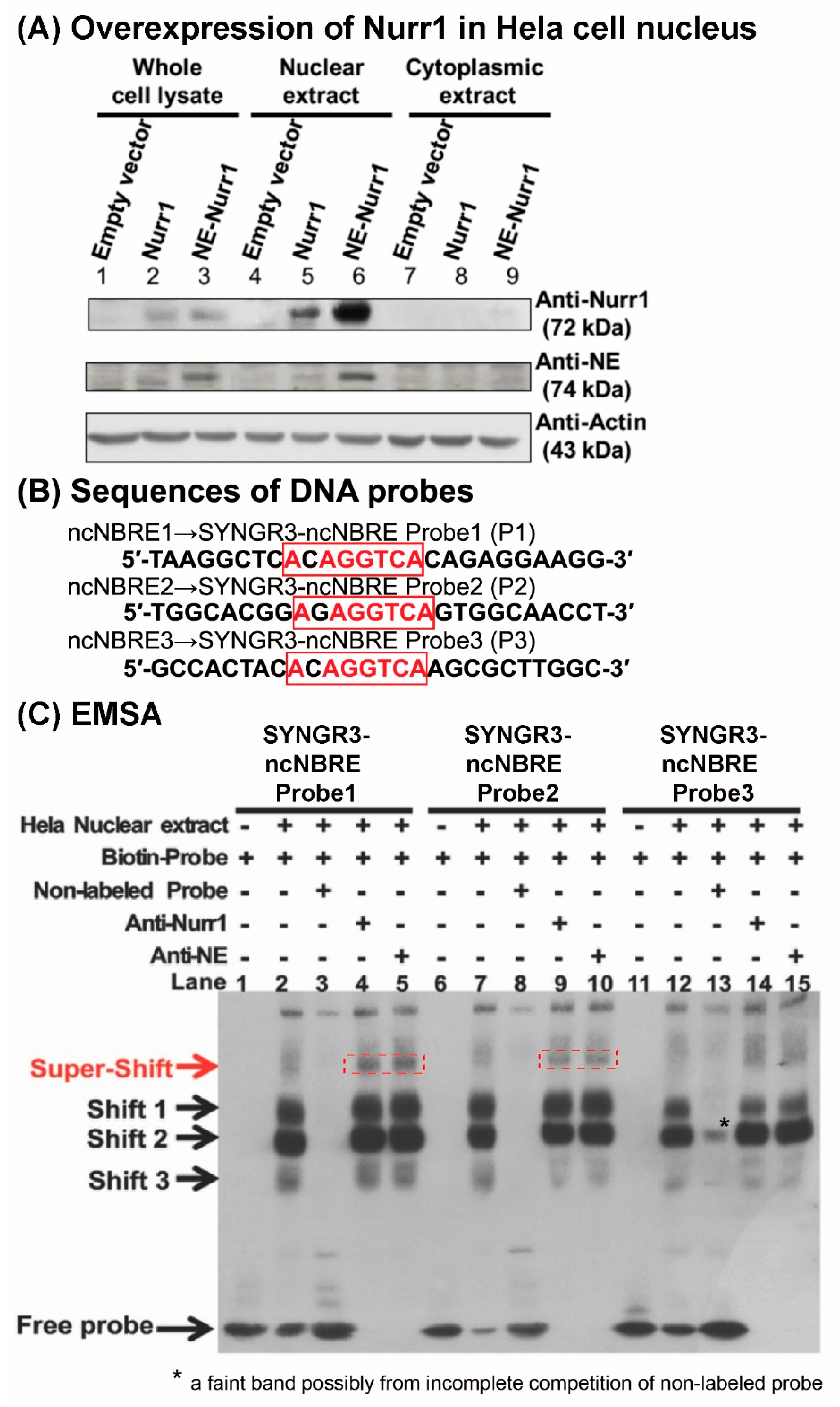 Ijms 23 03646 g006 Ijms 23 03646 g006