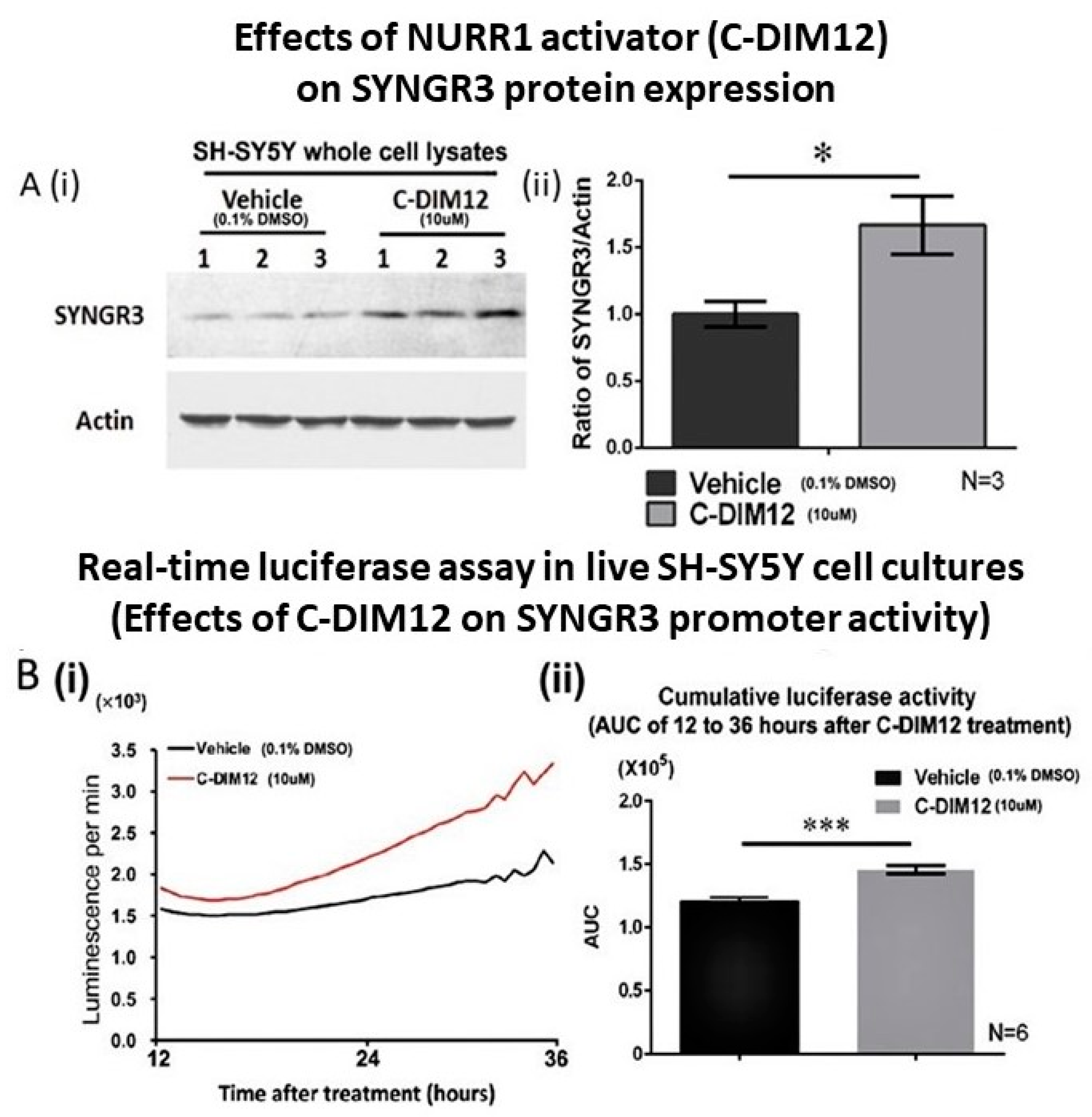 Ijms 23 03646 g007 Ijms 23 03646 g007