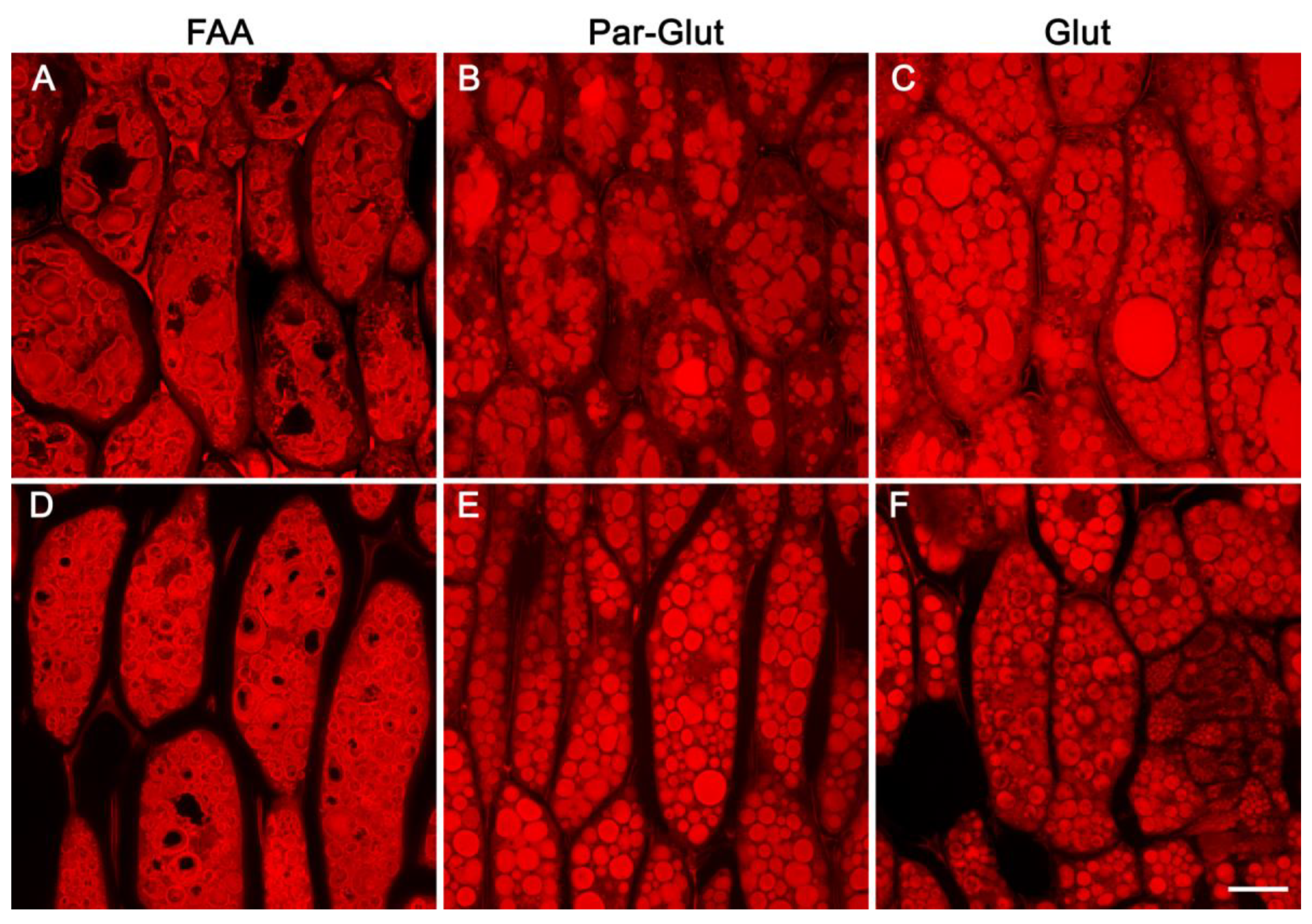 Ijms 23 03664 g006 Ijms 23 03664 g006