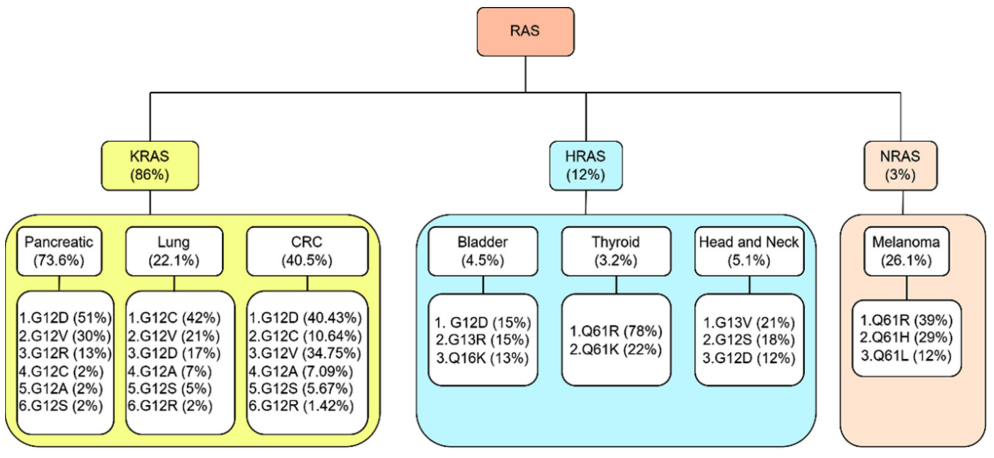 IJMS | Free Full-Text | Small-Molecule RAS Inhibitors as Anticancer Agents:  Discovery, Development, and Mechanistic Studies