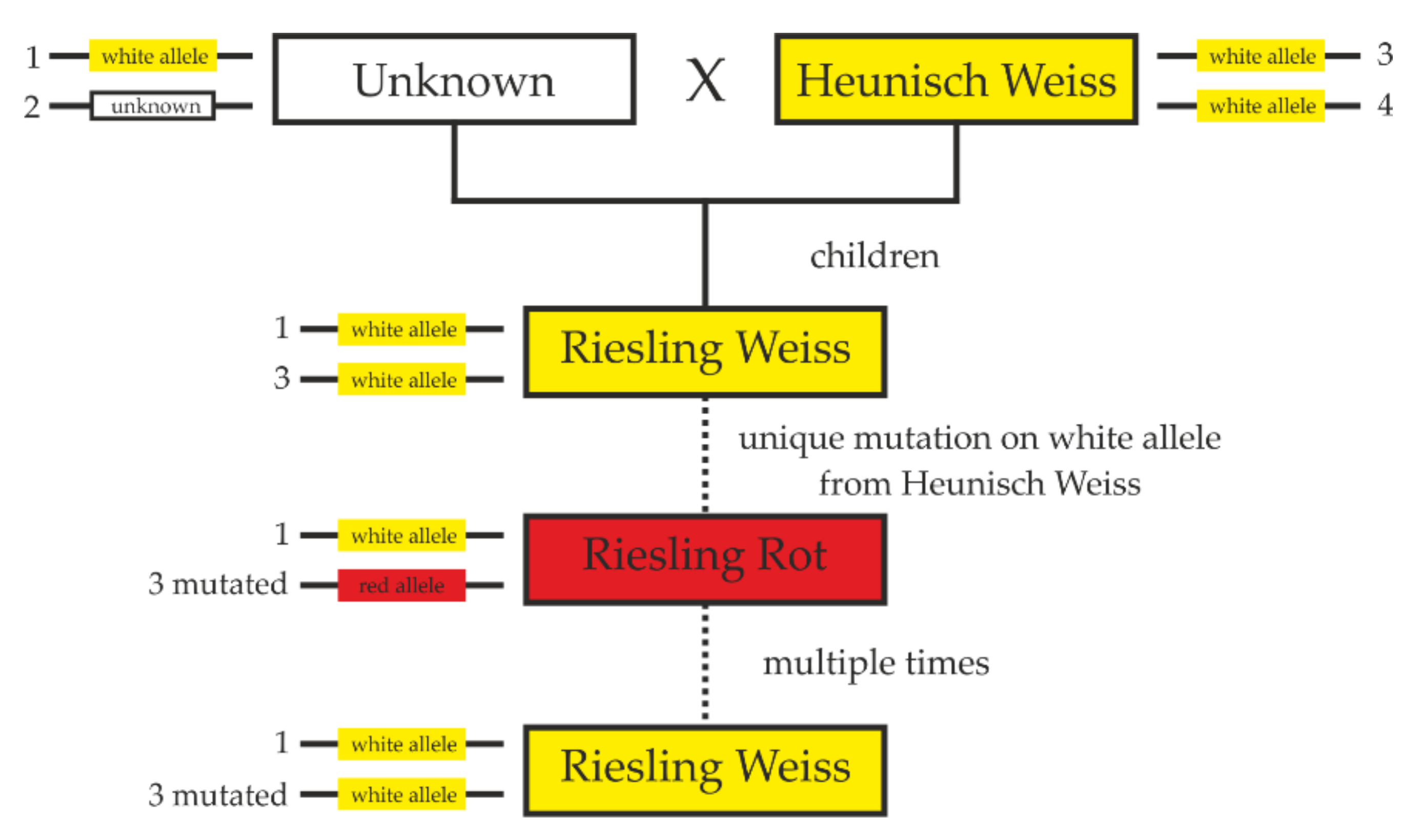 Ijms 23 03708 g004 Ijms 23 03708 g004