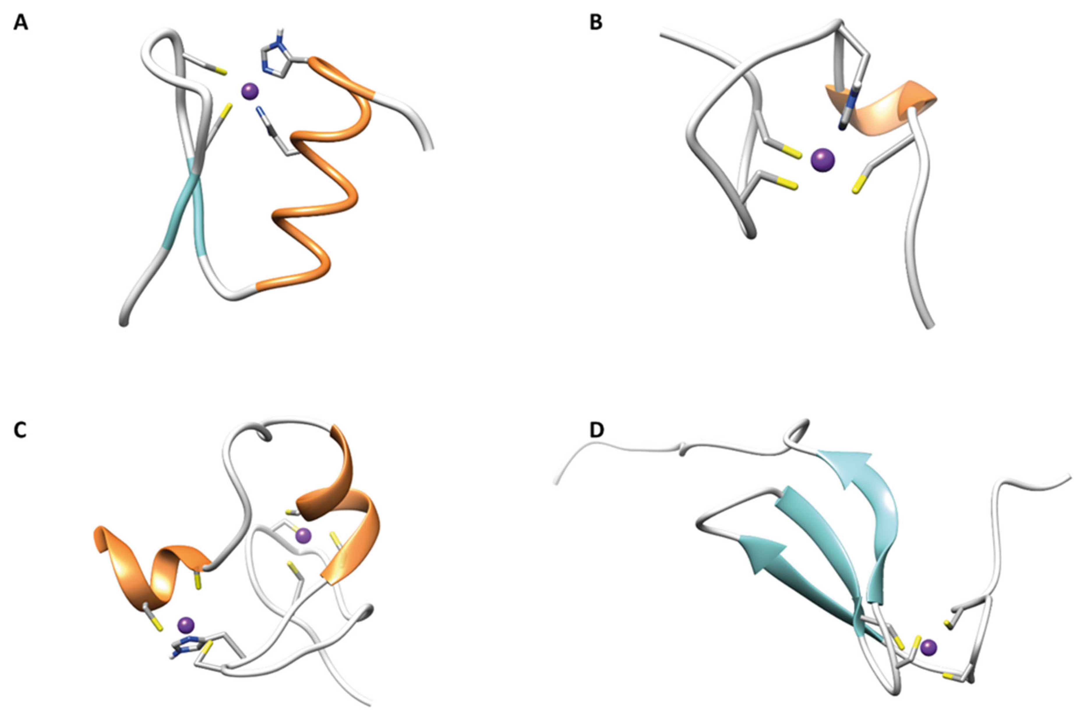 IJMS Free Full Text Host and Viral Zinc Finger Proteins in