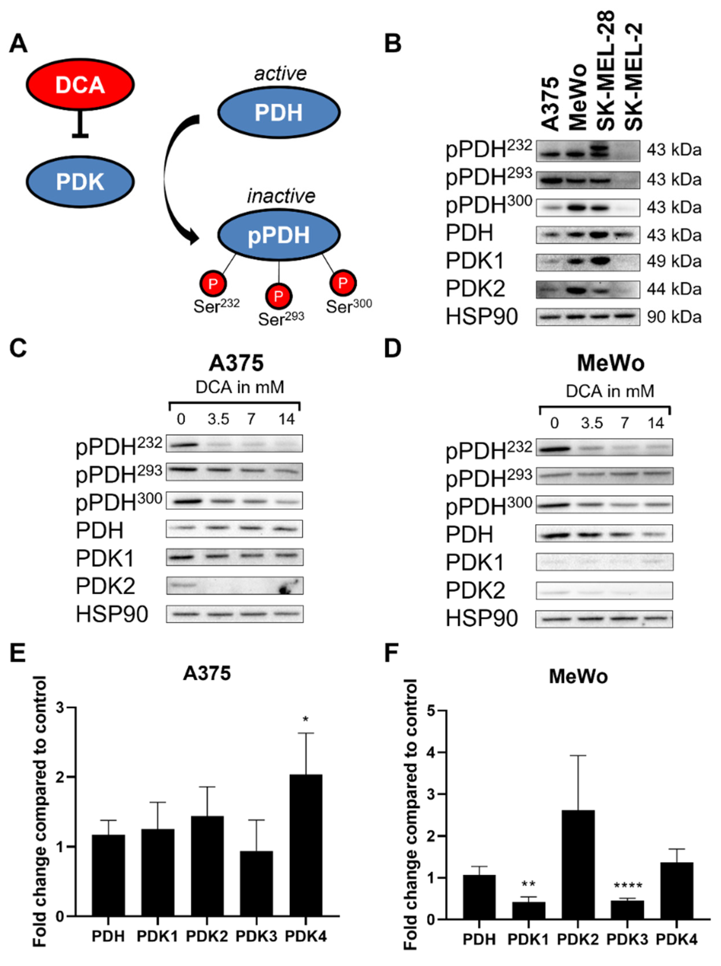 Ijms 23 03745 g002 Ijms 23 03745 g002