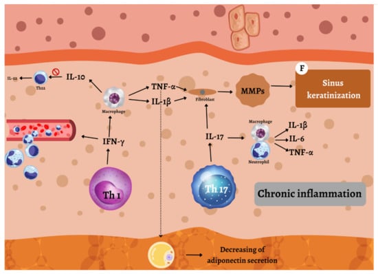 Ijms Free Full Text New And Emerging Targeted Therapies For Hidradenitis Suppurativa 