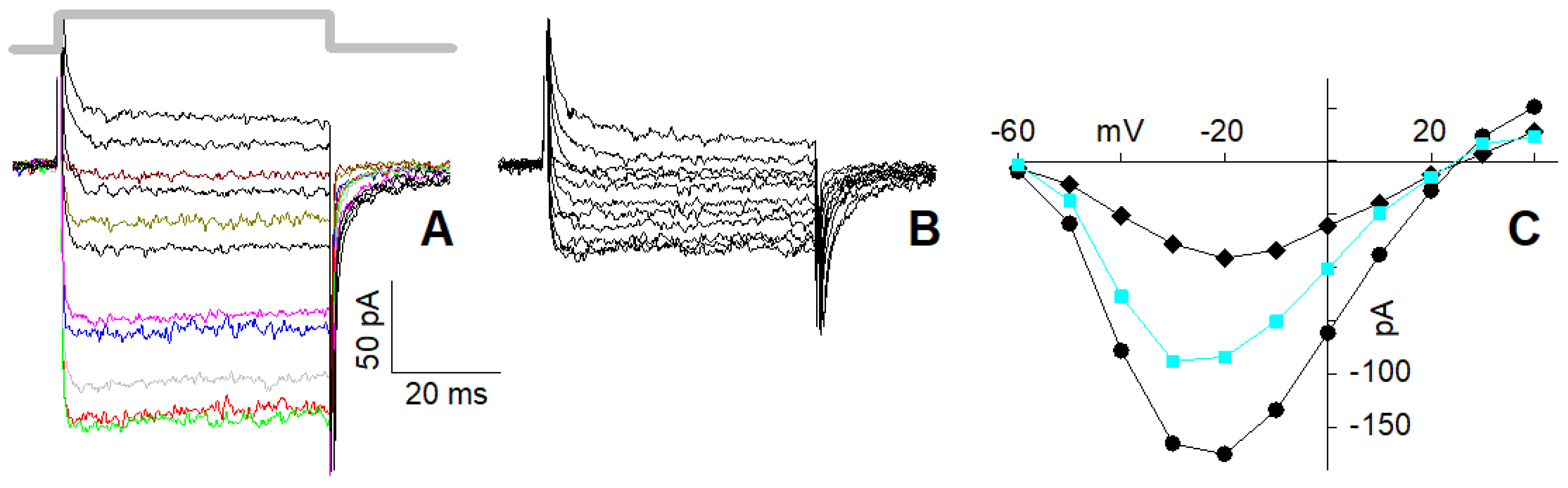 Ijms 23 03786 g004 Ijms 23 03786 g004