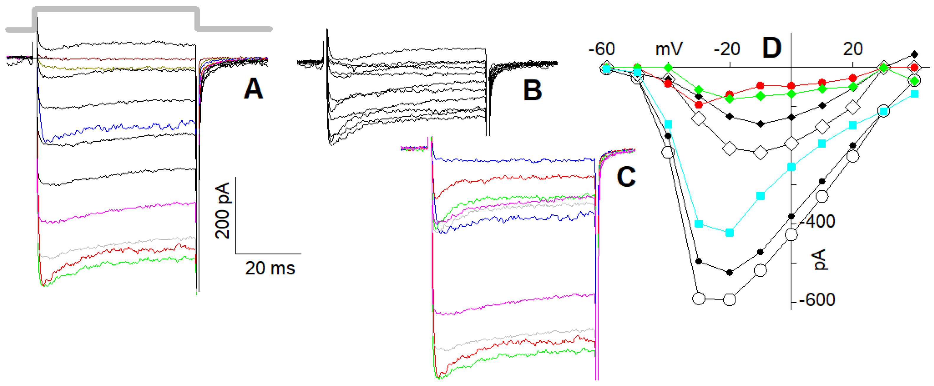 Ijms 23 03786 g005 Ijms 23 03786 g005