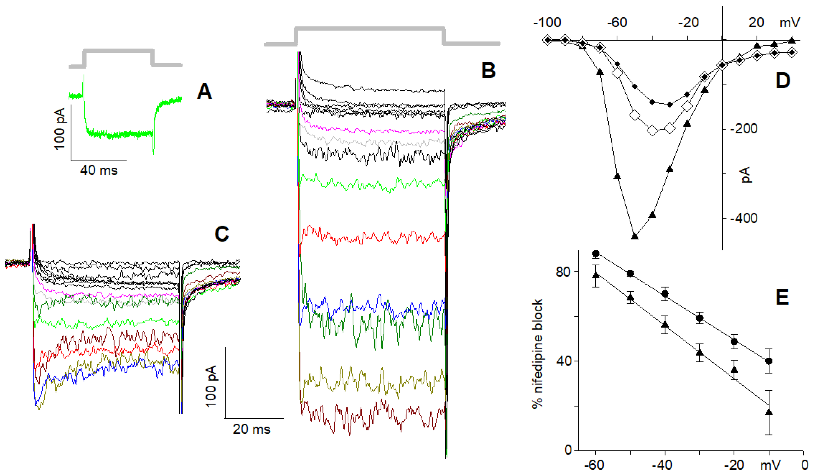 Ijms 23 03786 g006 Ijms 23 03786 g006