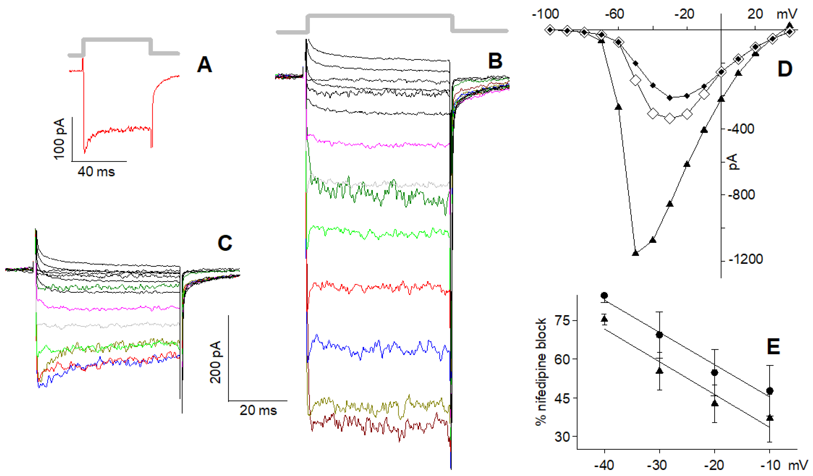 Ijms 23 03786 g007 Ijms 23 03786 g007