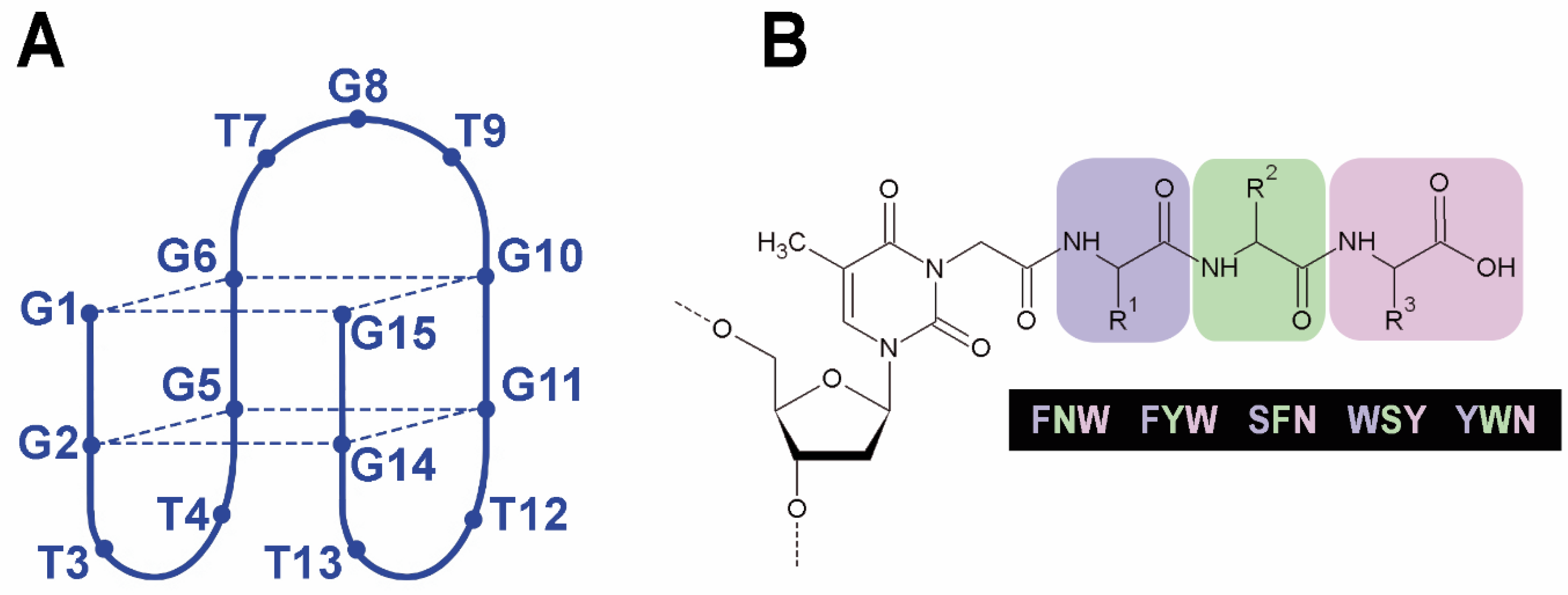 Ijms 23 03820 g001 Ijms 23 03820 g001