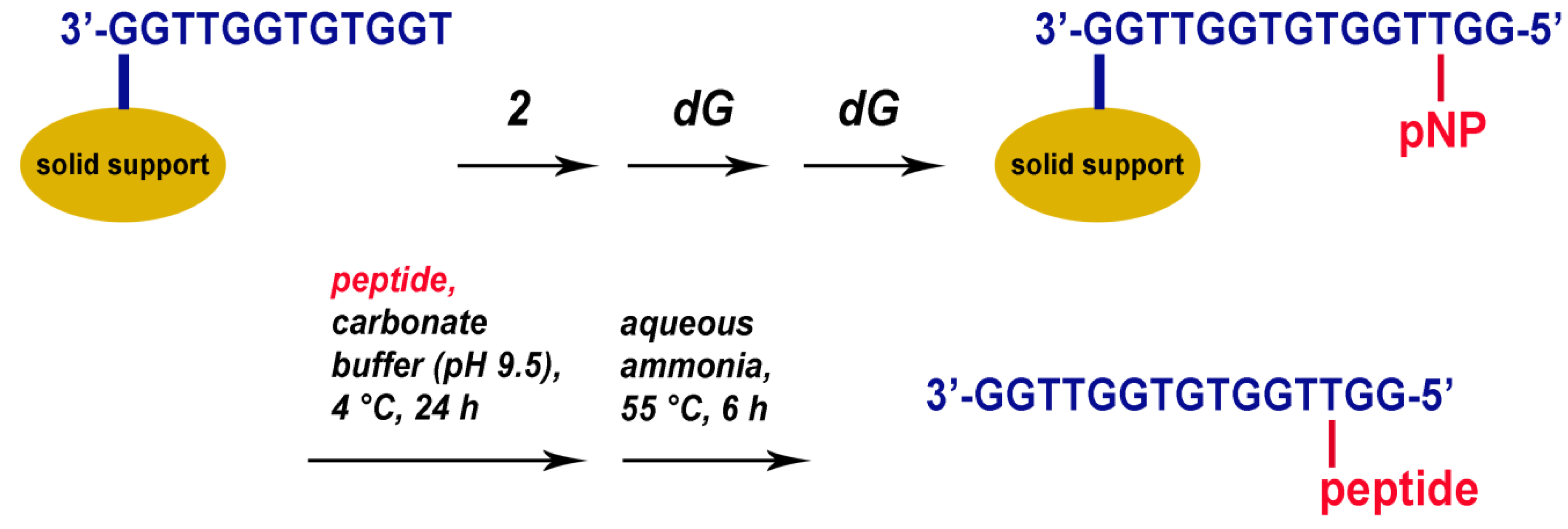 Ijms 23 03820 g002 Ijms 23 03820 g002