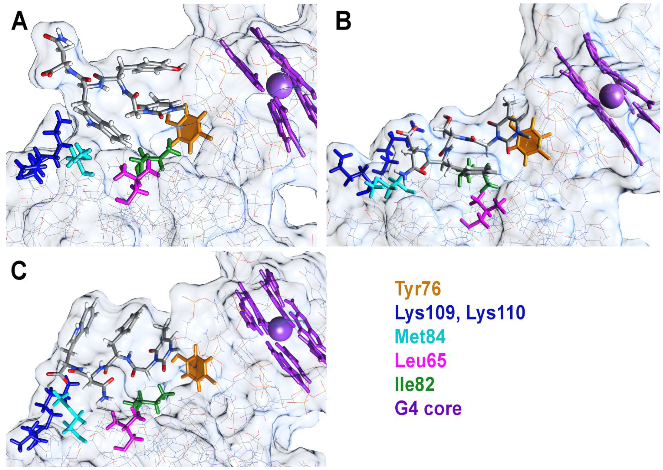 Ijms 23 03820 g005 Ijms 23 03820 g005