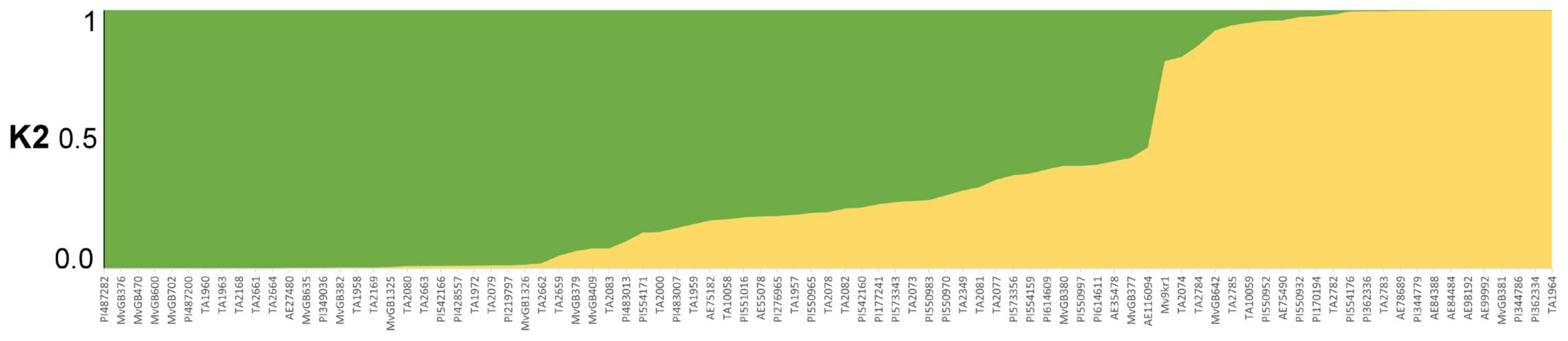 Ijms 23 03821 g003 Ijms 23 03821 g003
