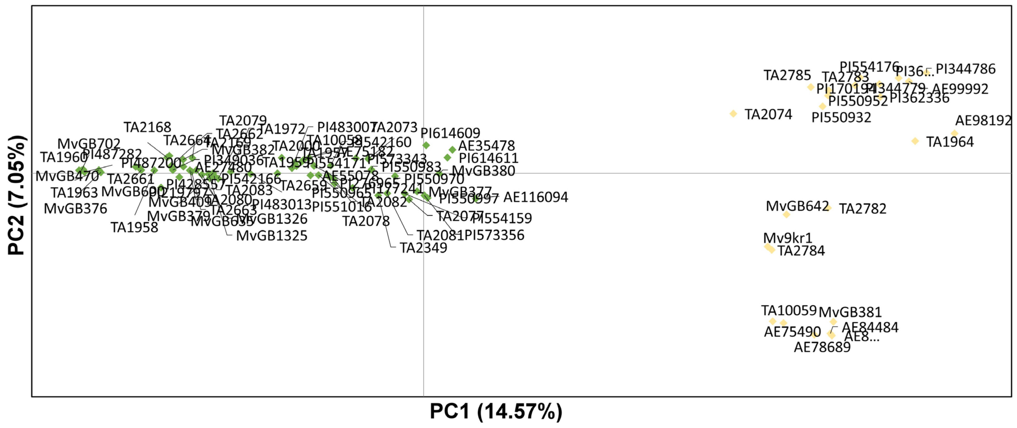Ijms 23 03821 g005 Ijms 23 03821 g005