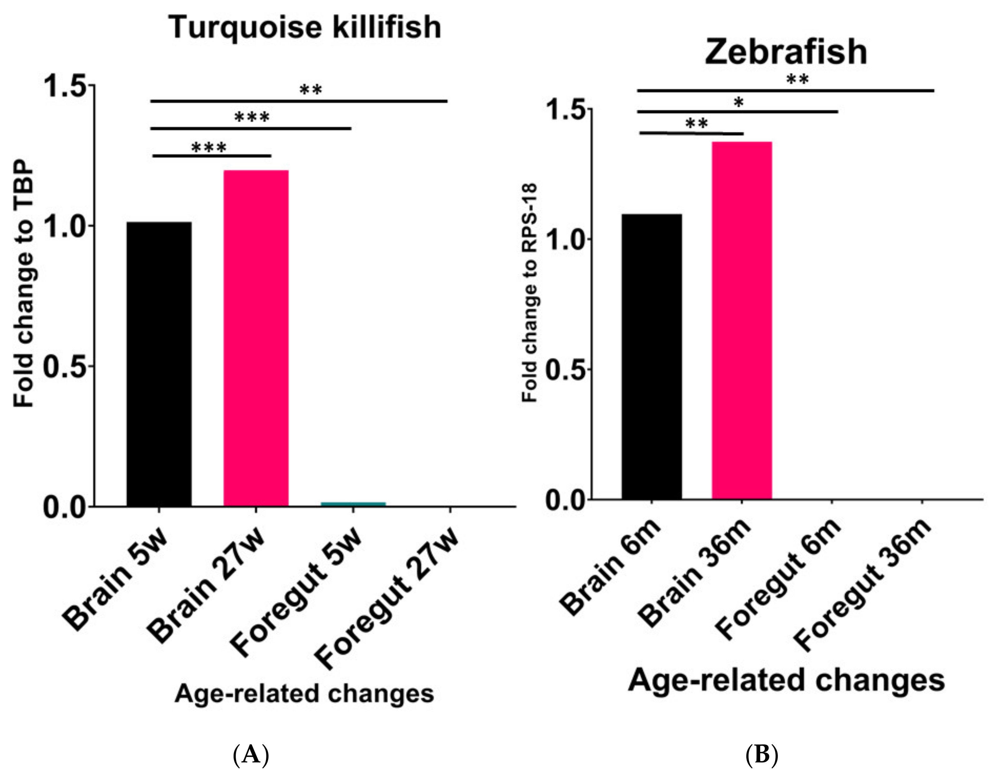 Ijms 23 03839 g001 Ijms 23 03839 g001
