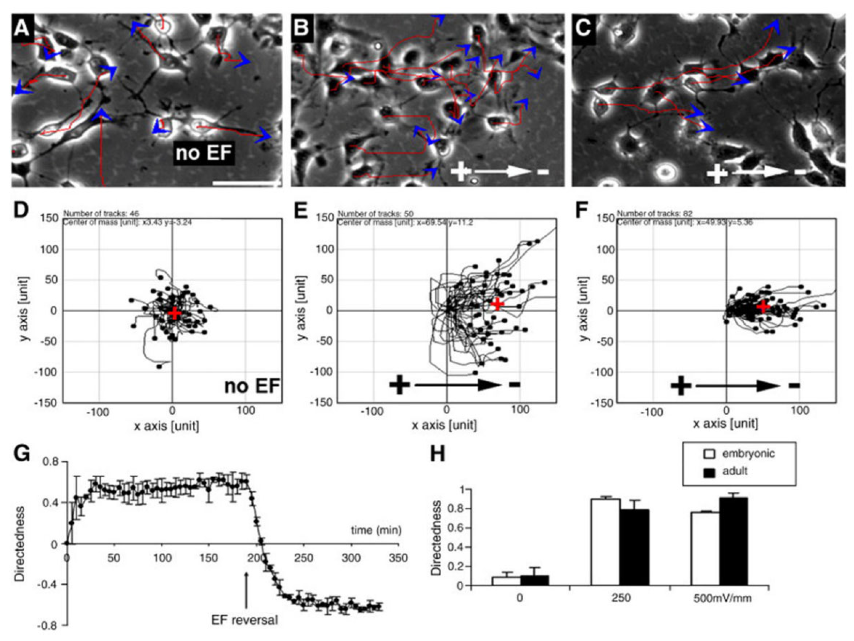 Ijms 23 03877 g002 Ijms 23 03877 g002