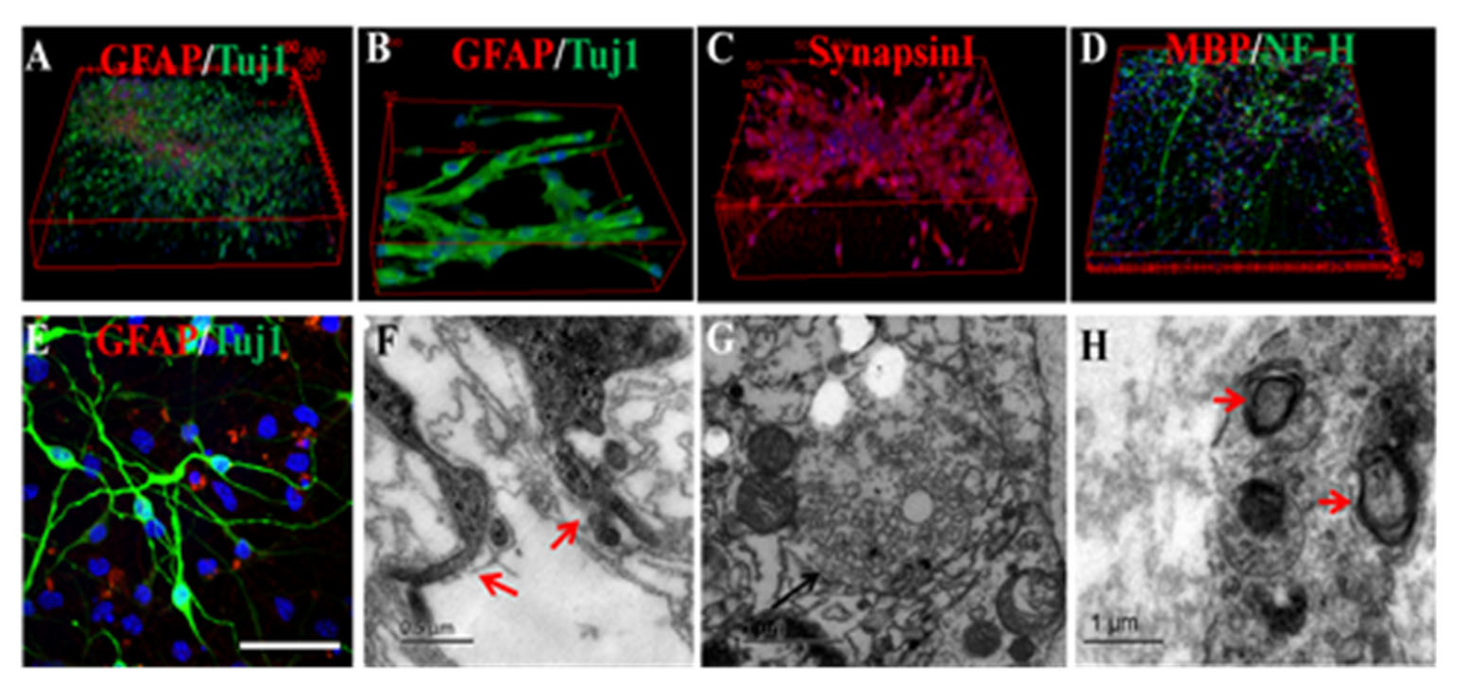 Ijms 23 03877 g003 Ijms 23 03877 g003