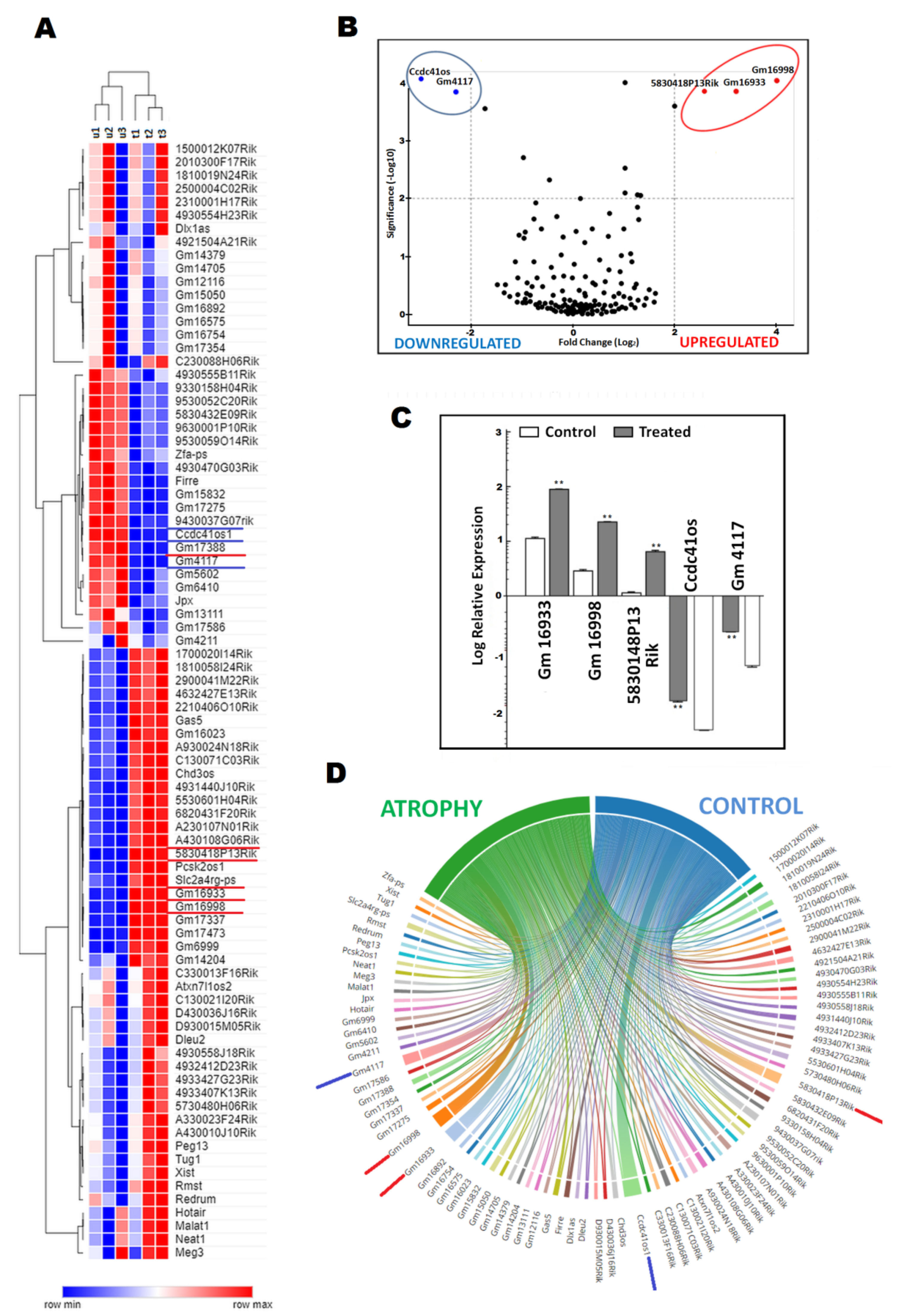 Ijms 23 03878 g002 Ijms 23 03878 g002