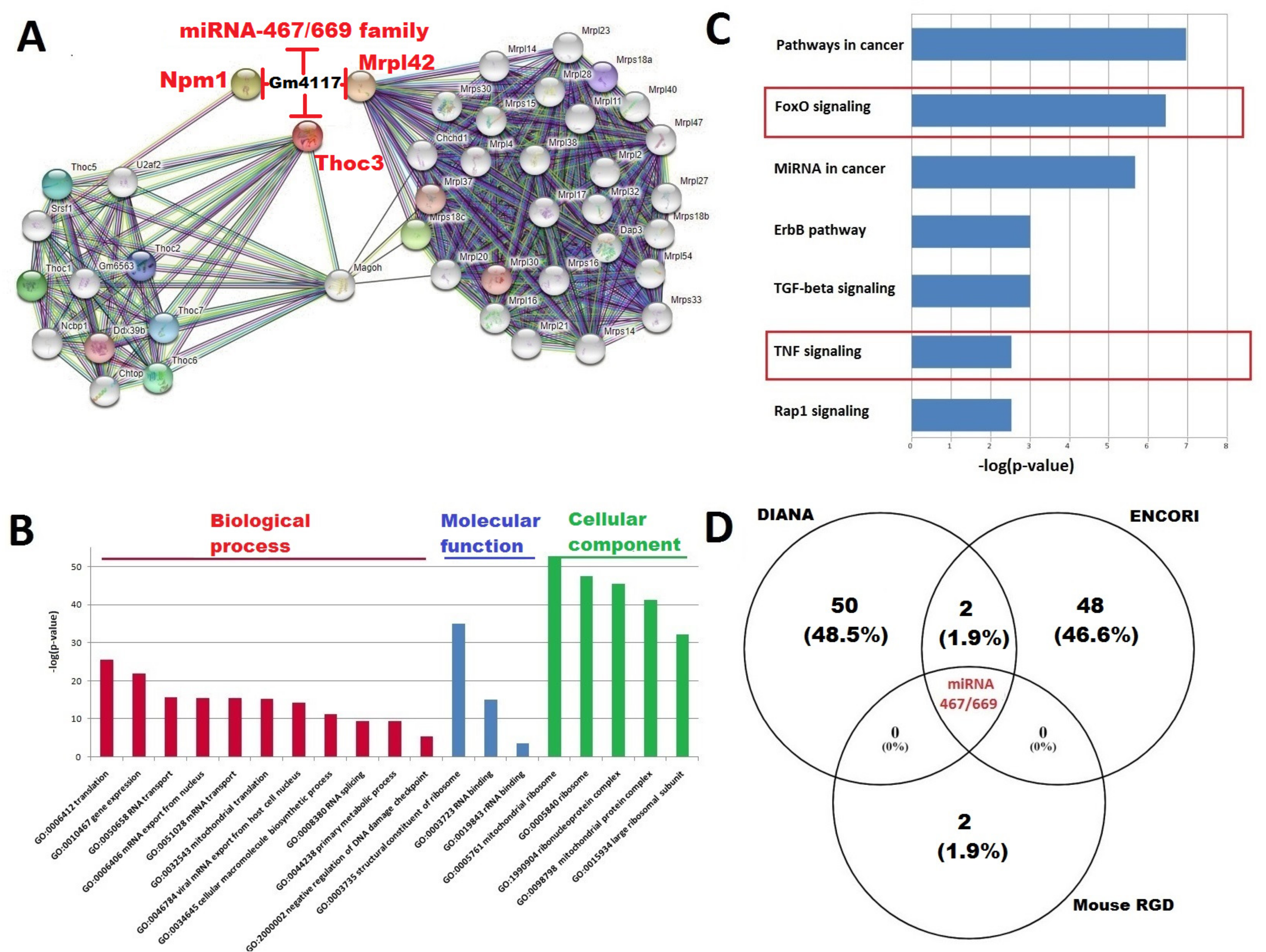Ijms 23 03878 g004 Ijms 23 03878 g004