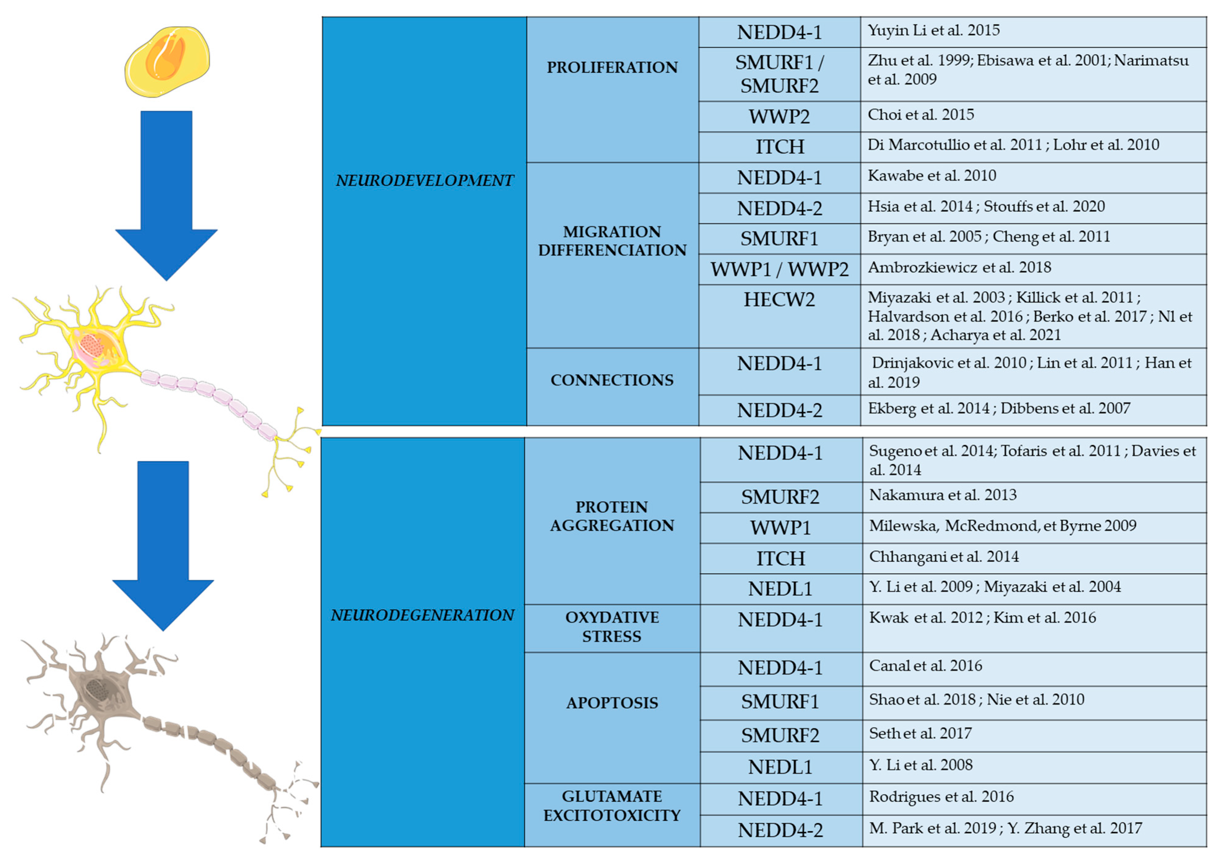 Ijms 23 03882 g003 Ijms 23 03882 g003