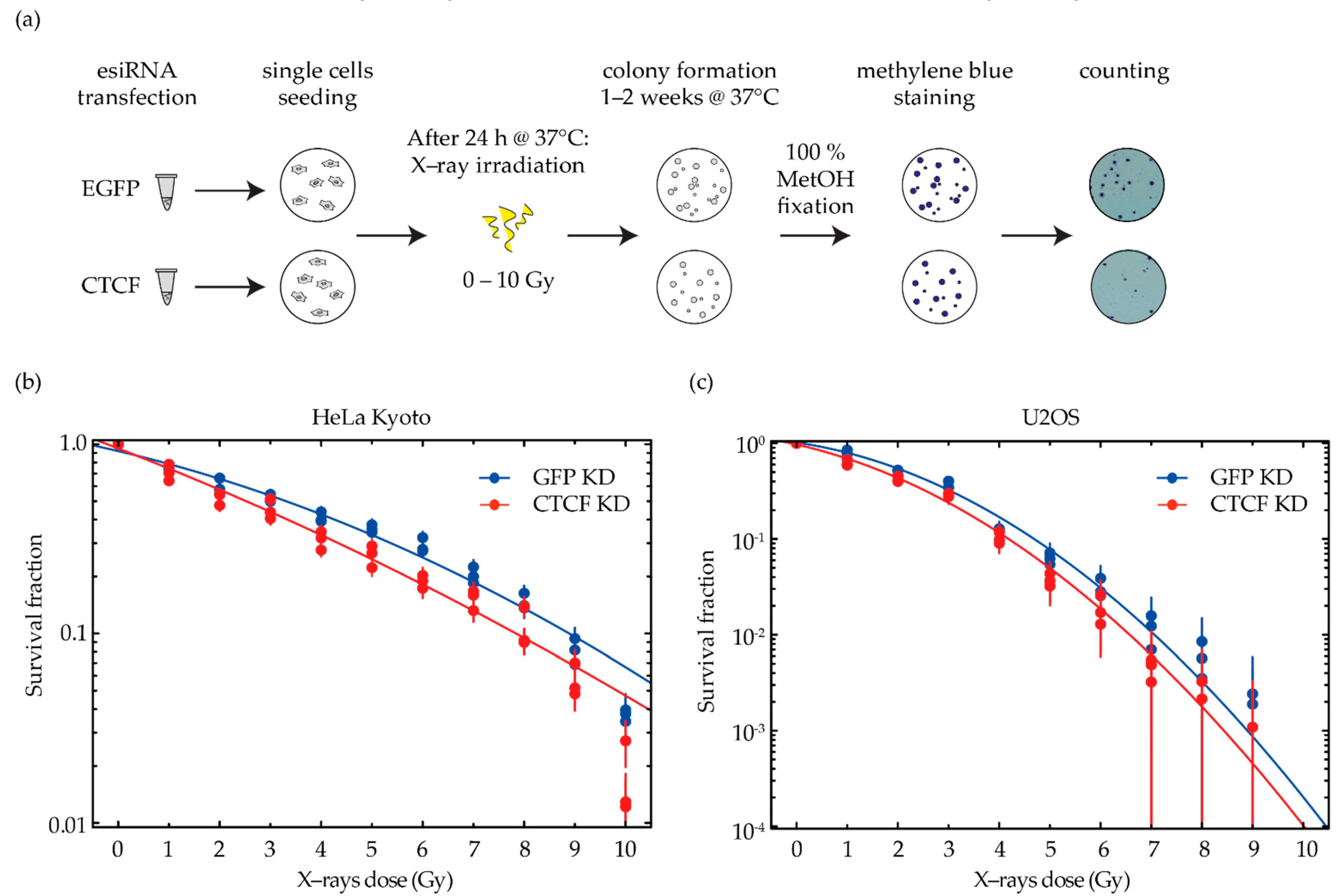 Ijms 23 03896 g003 Ijms 23 03896 g003