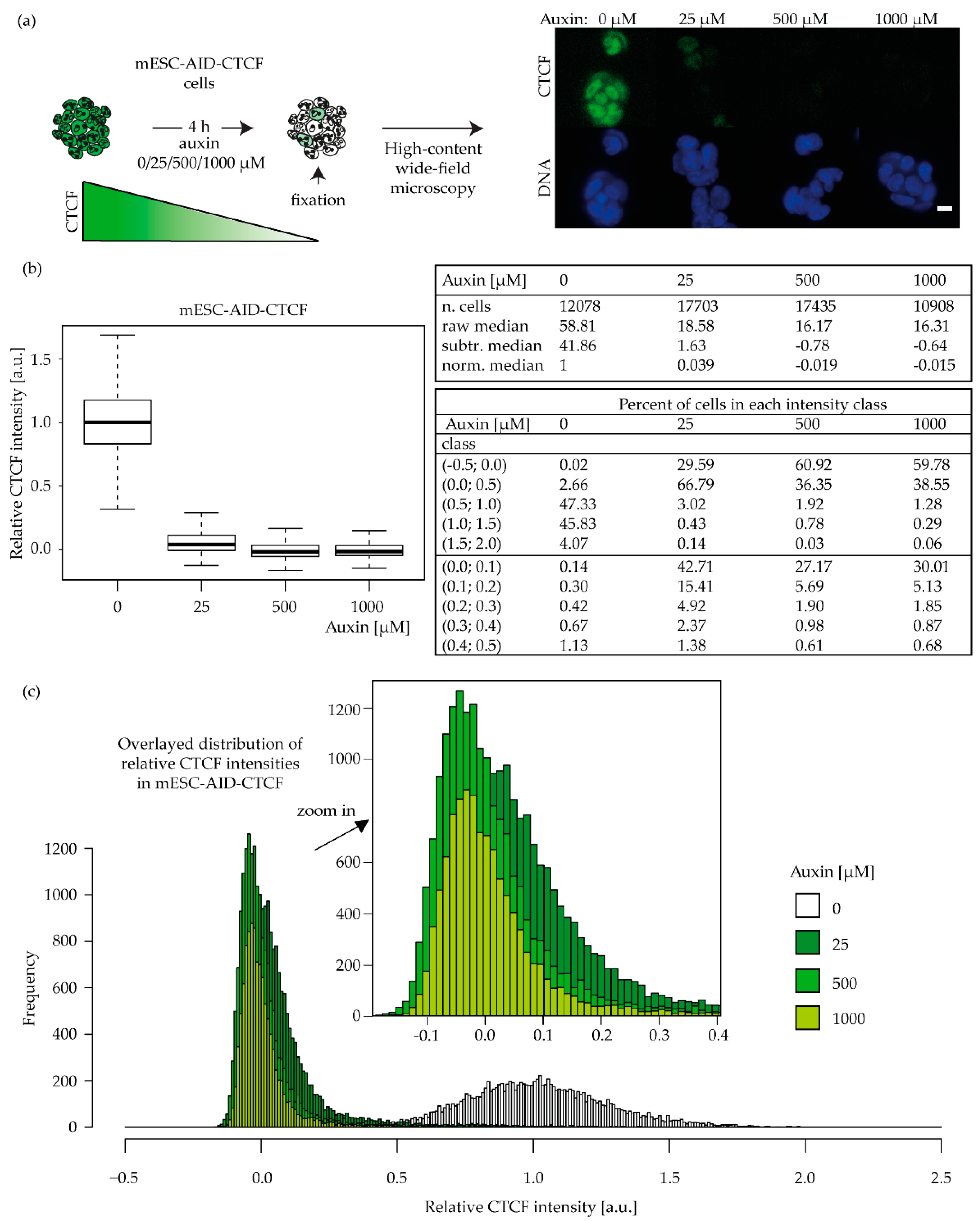 Ijms 23 03896 g007 Ijms 23 03896 g007