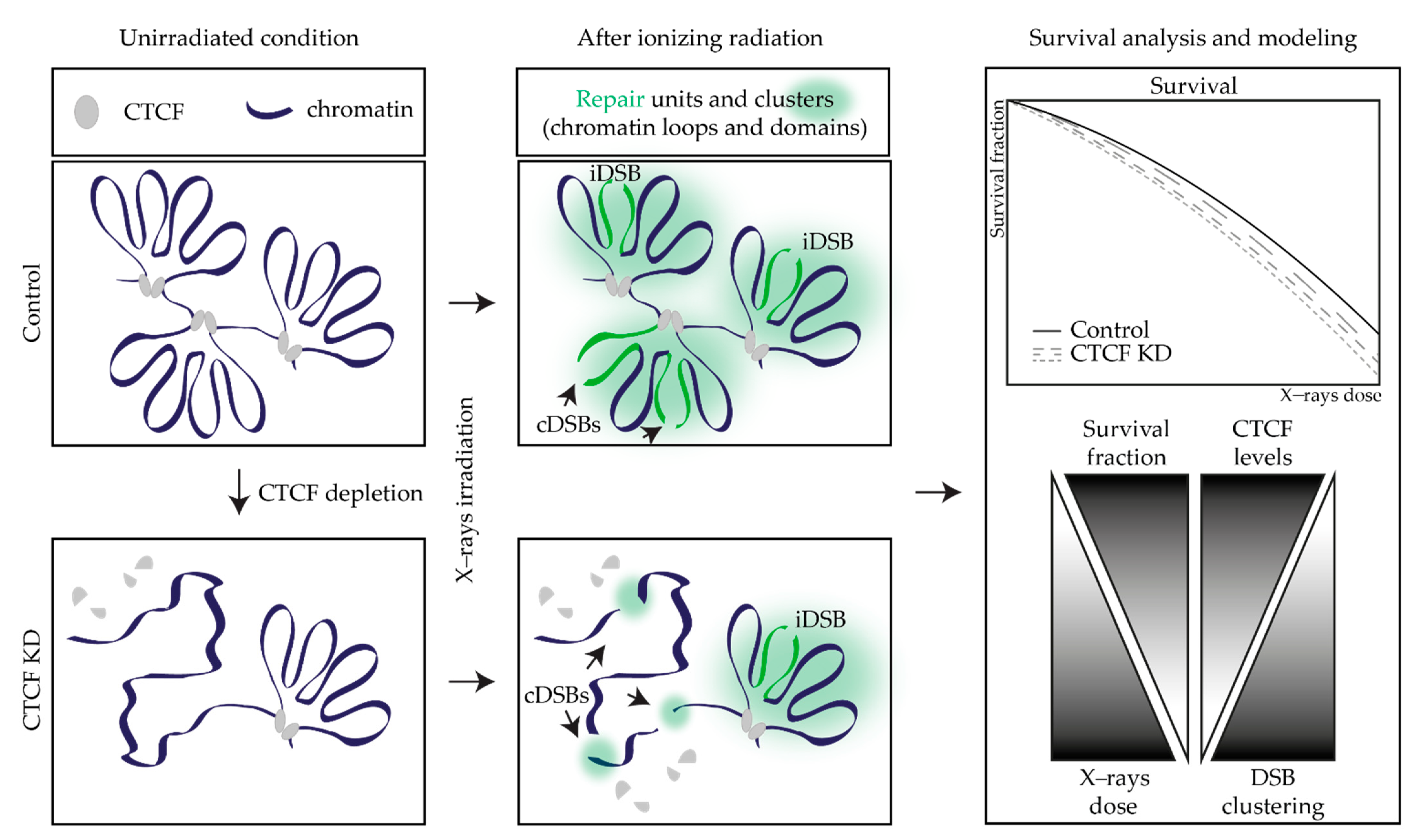 Ijms 23 03896 g011 Ijms 23 03896 g011