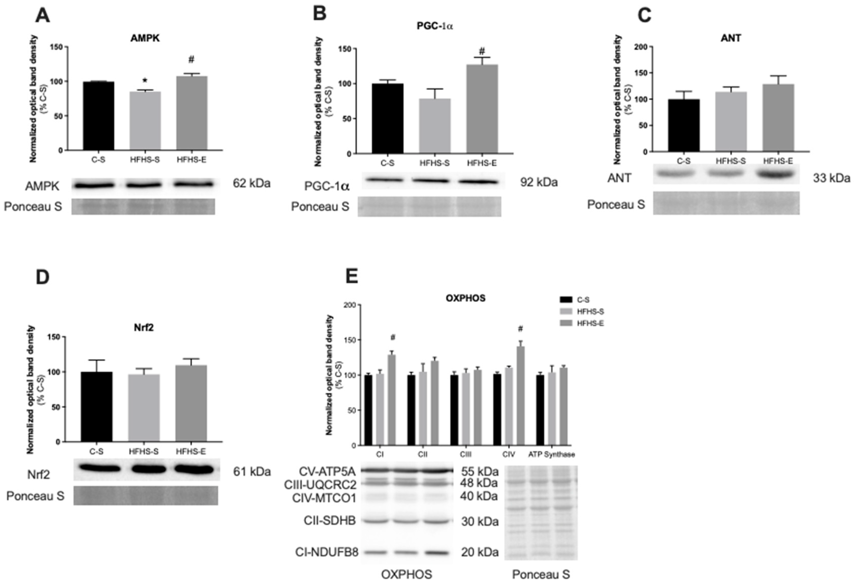 Ijms 23 03916 g004 Ijms 23 03916 g004