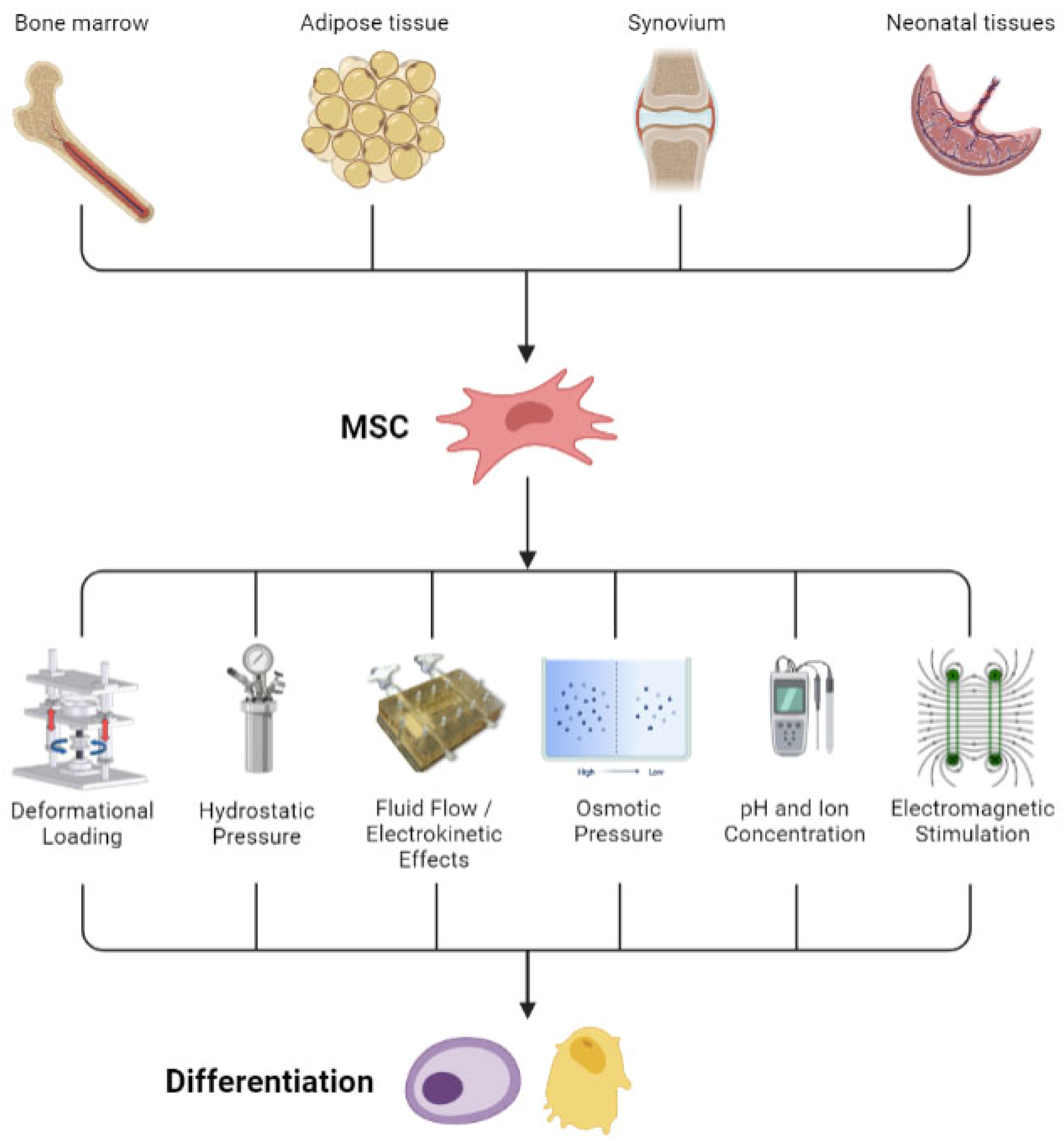 Ijms 23 03919 g002 Ijms 23 03919 g002