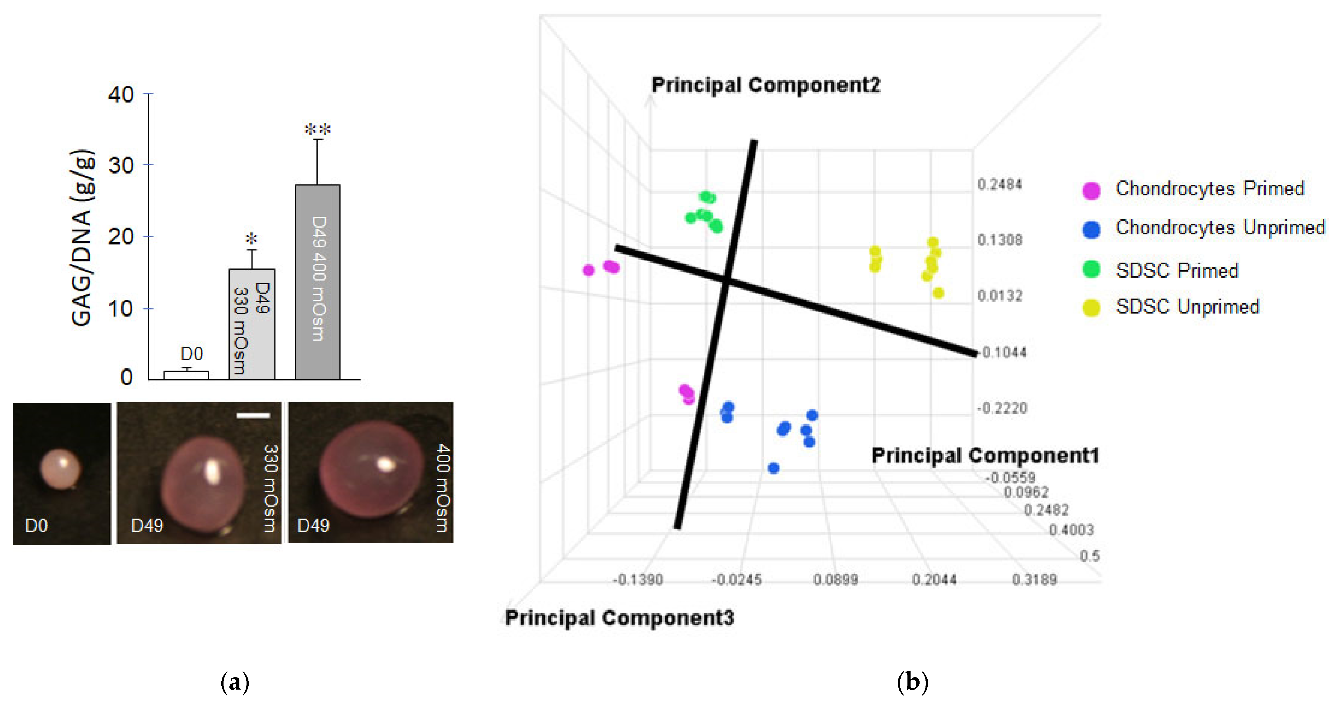 Ijms 23 03919 g003 Ijms 23 03919 g003