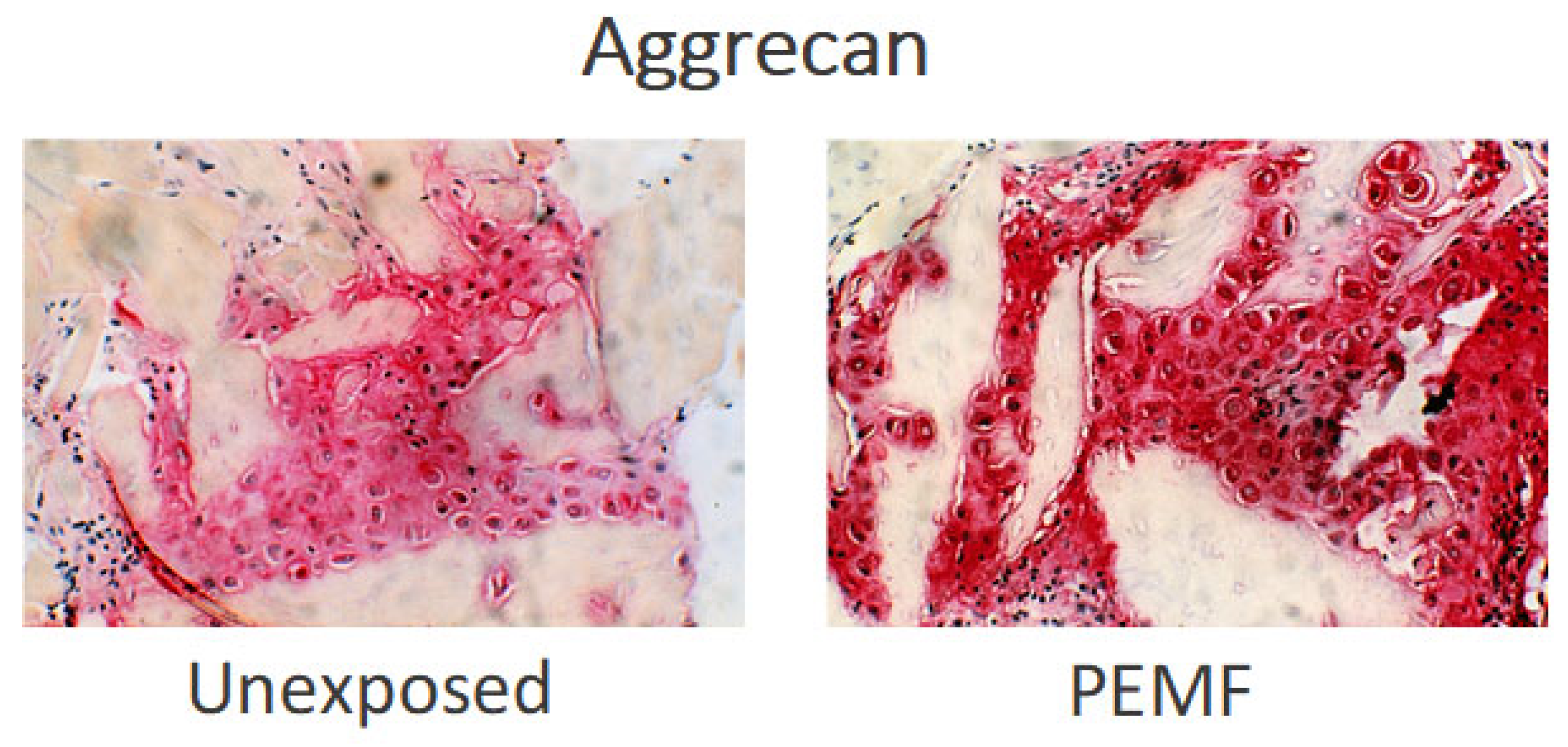 Ijms 23 03919 g005 Ijms 23 03919 g005