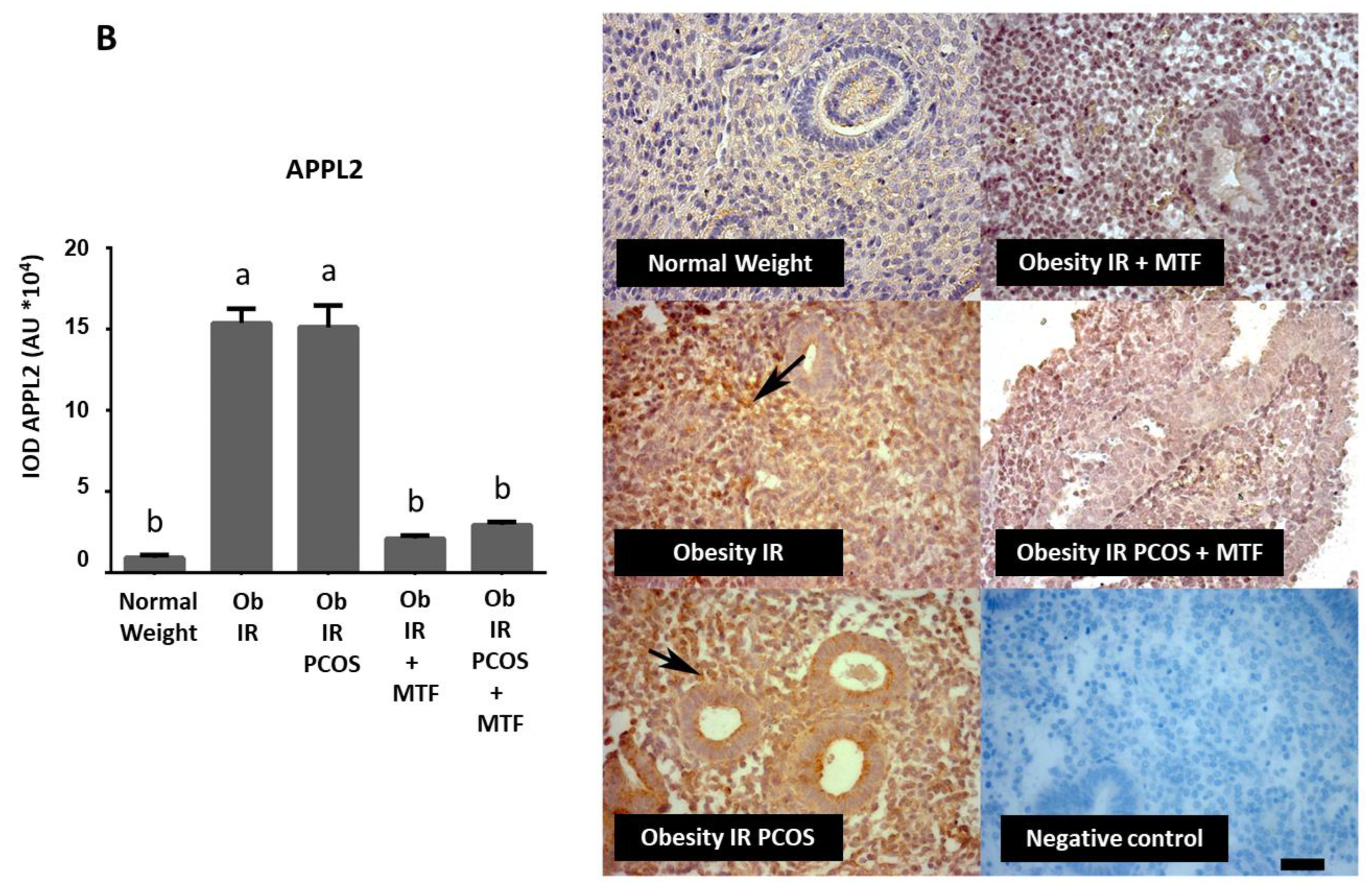 Ijms 23 03922 g002b Ijms 23 03922 g002b