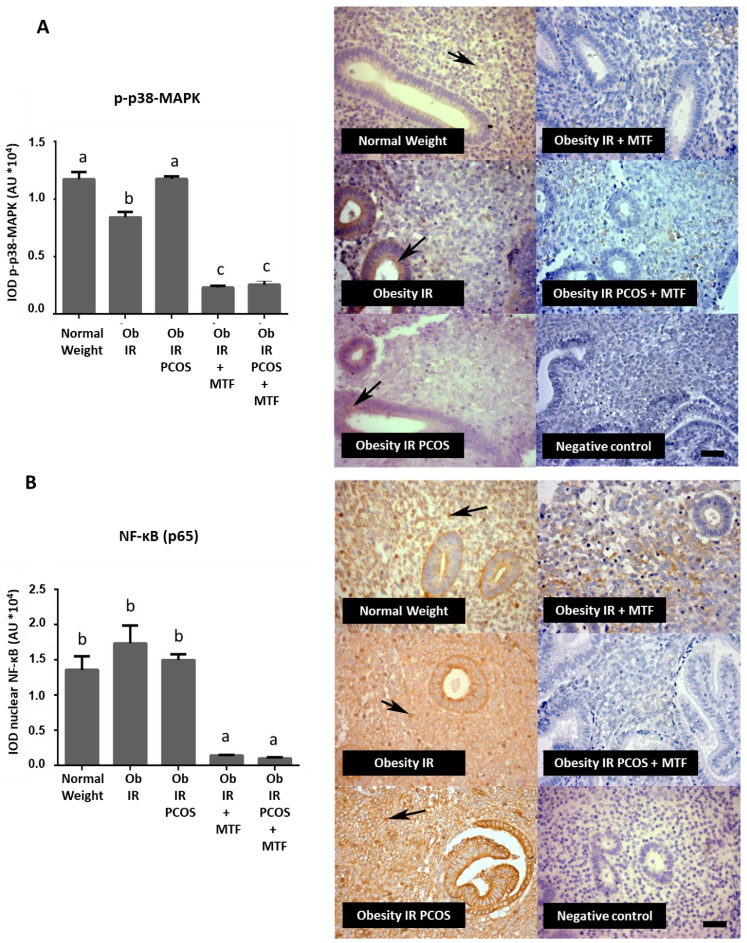 Ijms 23 03922 g003 Ijms 23 03922 g003