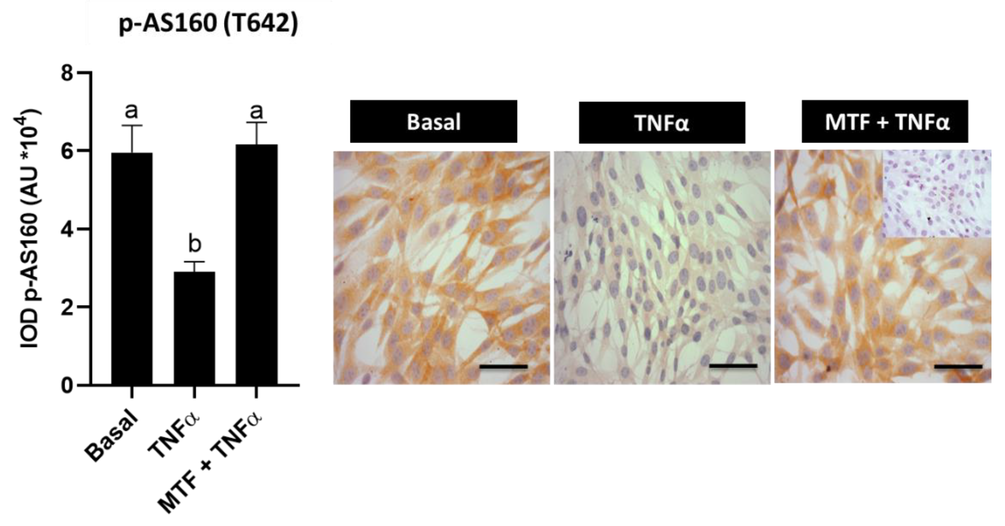 Ijms 23 03922 g004 Ijms 23 03922 g004