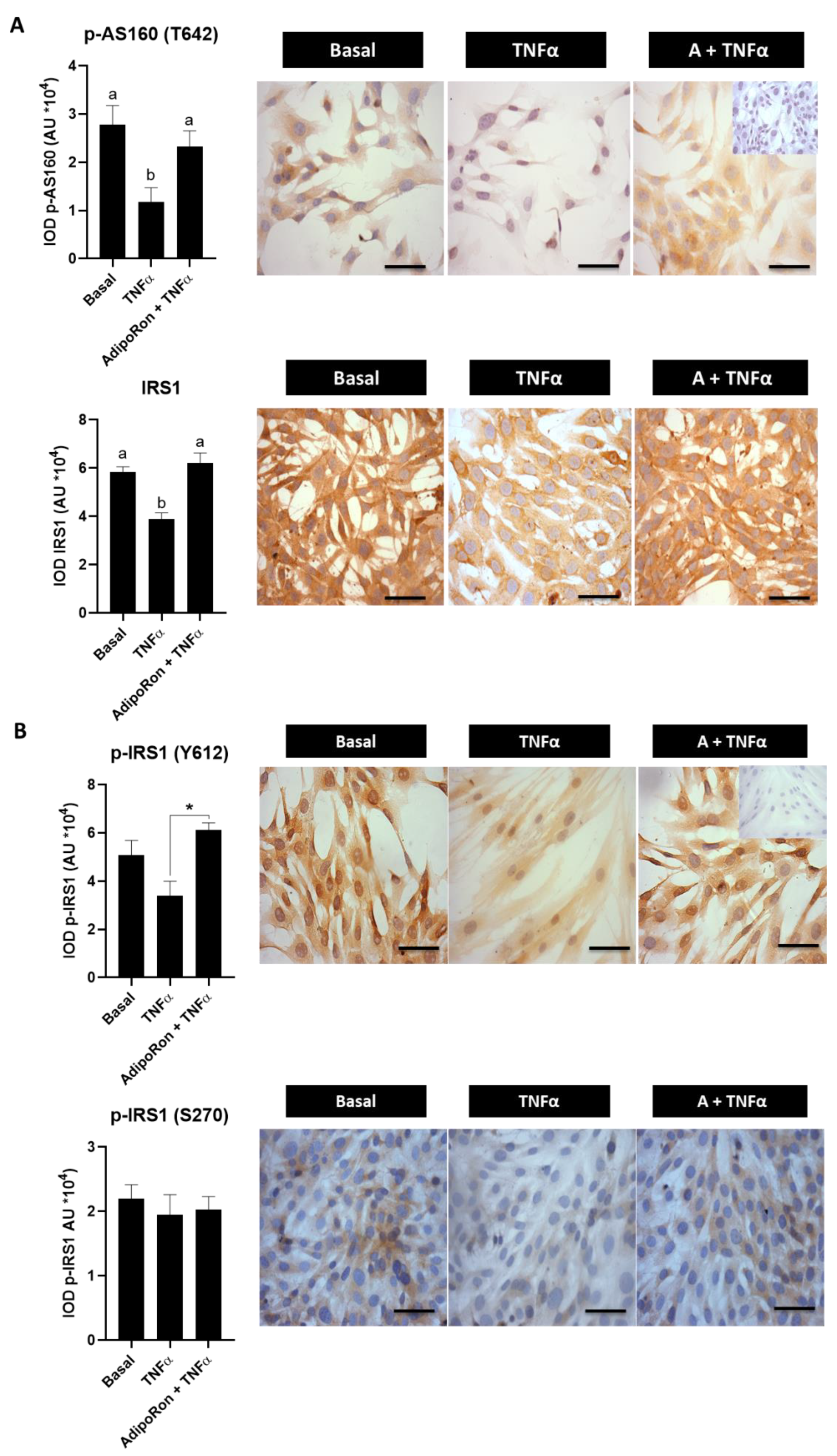 Ijms 23 03922 g007 Ijms 23 03922 g007