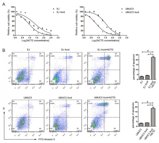 IJMS | Free Full-Text | Norcantharidin Induces Immunogenic Cell Death ...