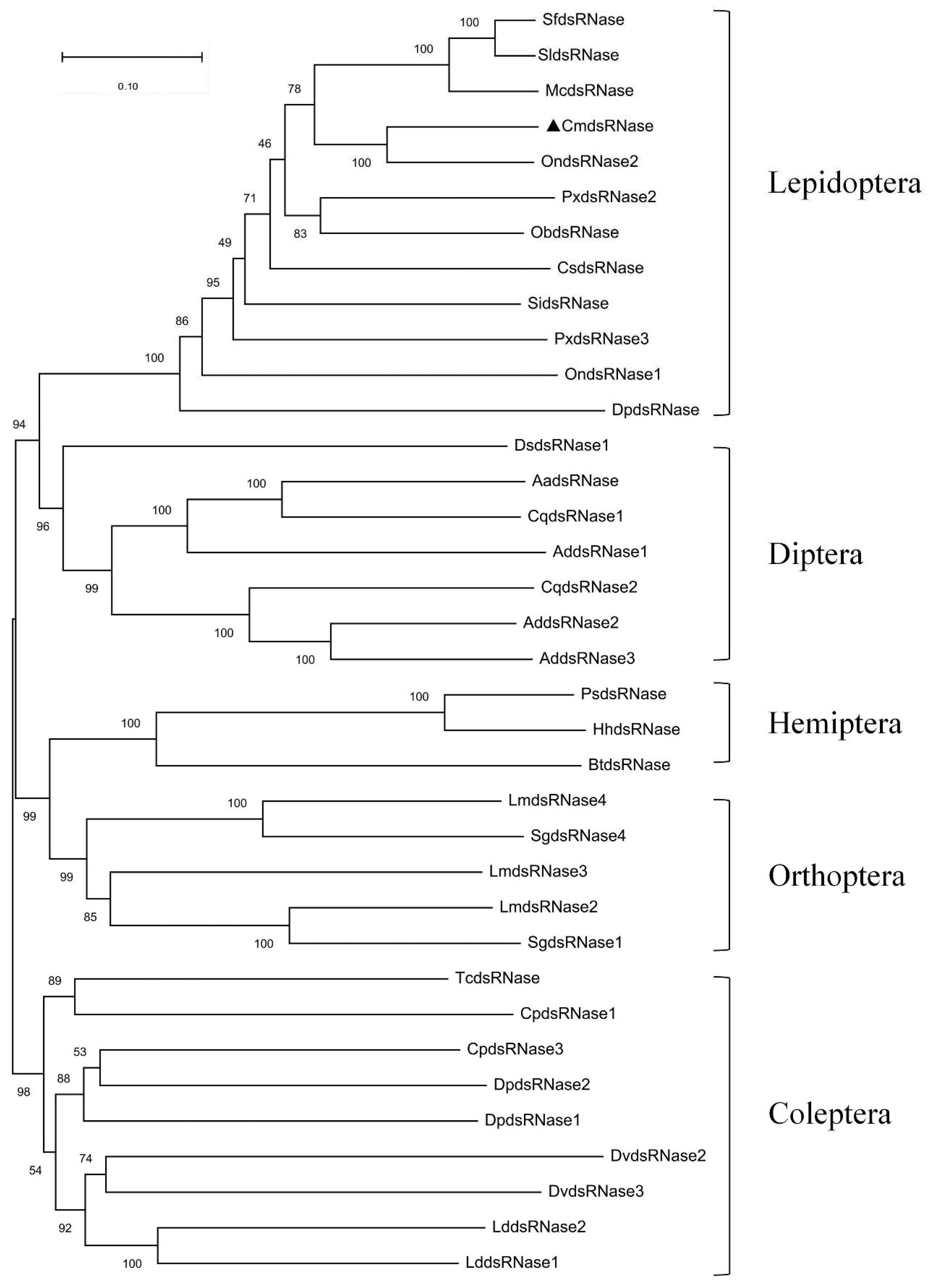 Characterization of hostplant innate immunity from Kharif-II rice cultivars  against rice leaf folder (Cnaphalocrocis medinalis Guen.) via in-situ  screening and physicochemical assays - ScienceDirect