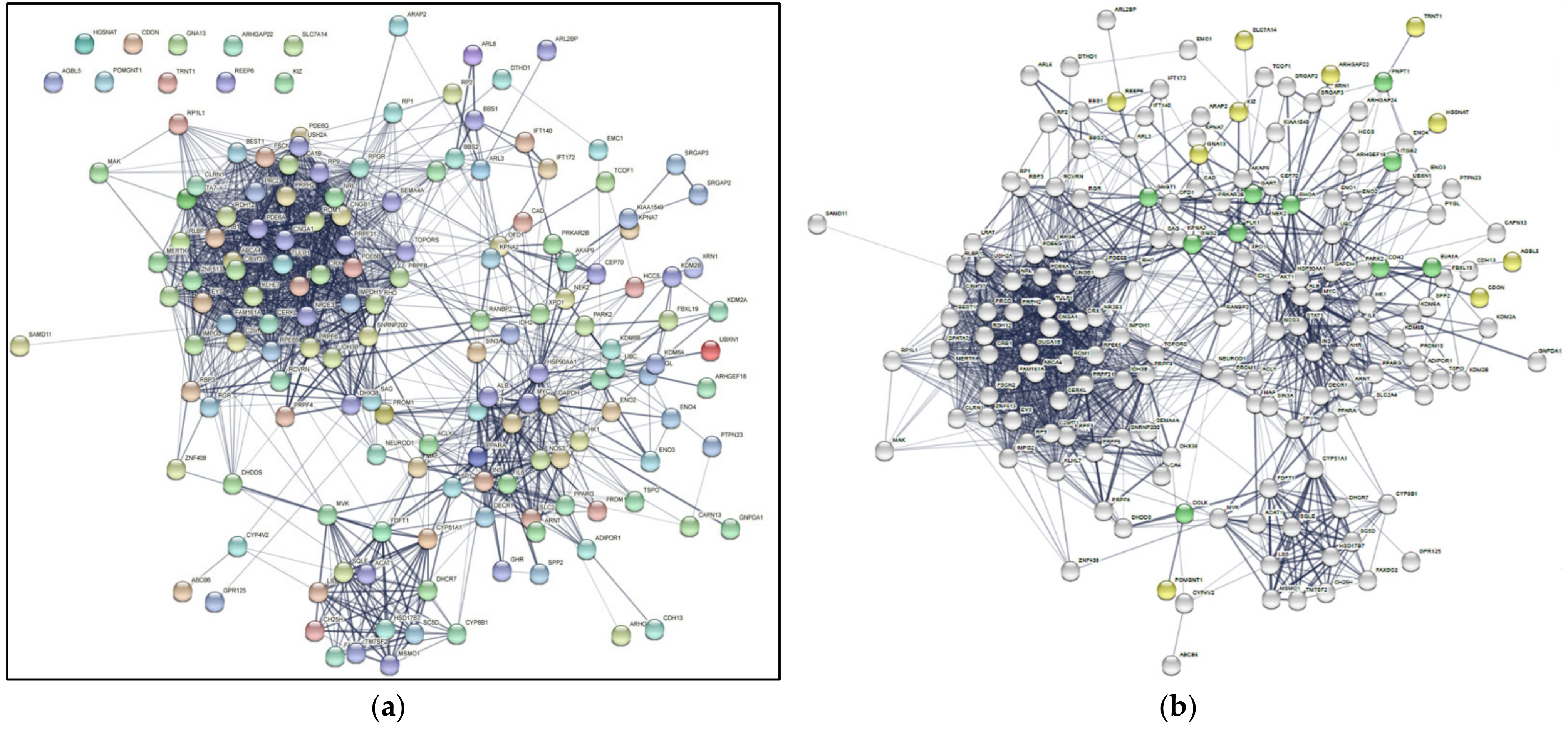 Properties of PPINs: scale-free networks  Network analysis of protein  interaction data