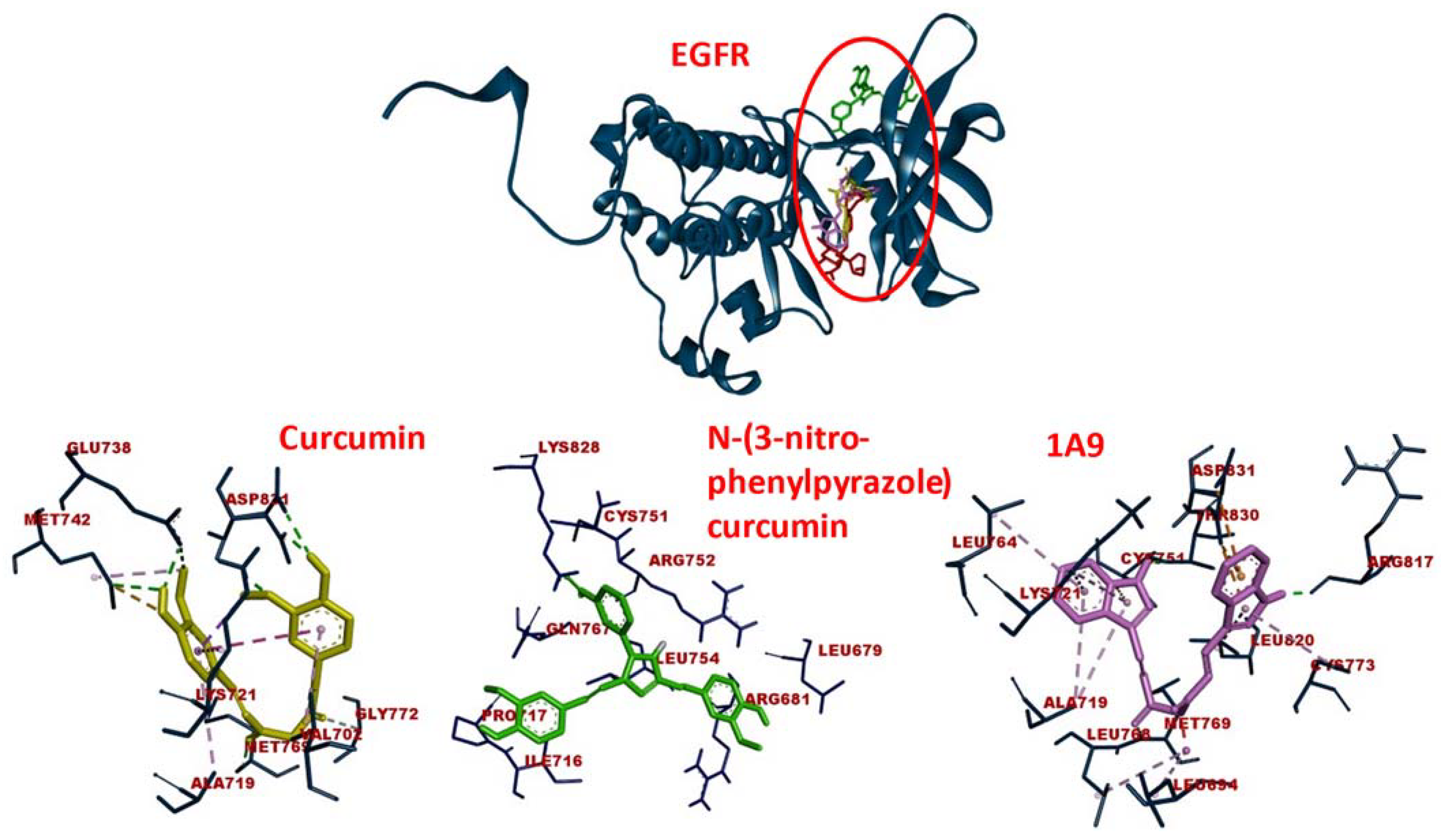 IJMS Free Full Text In Silico and In Vitro Screening of 50