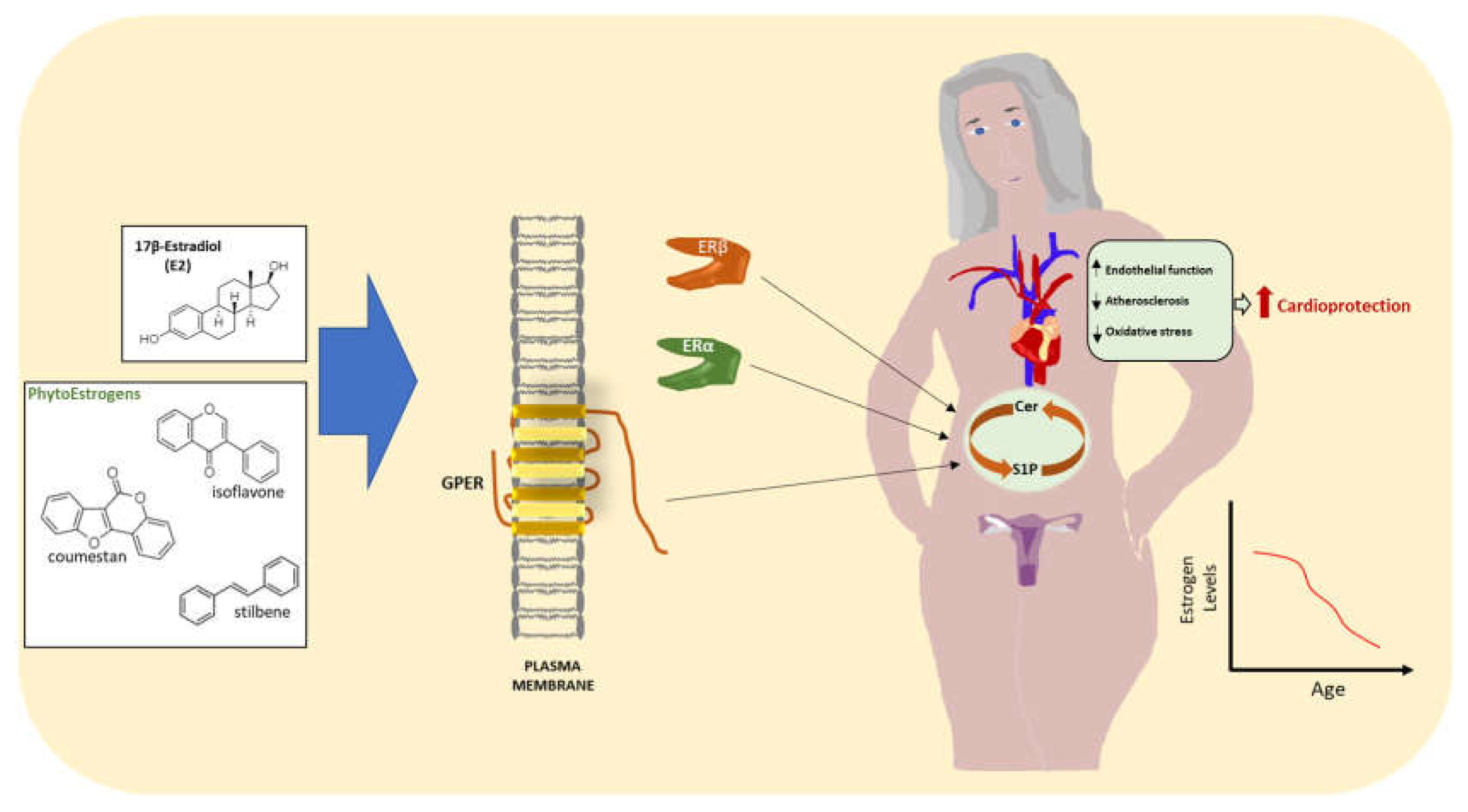 Ijms 23 04009 g002 Ijms 23 04009 g002