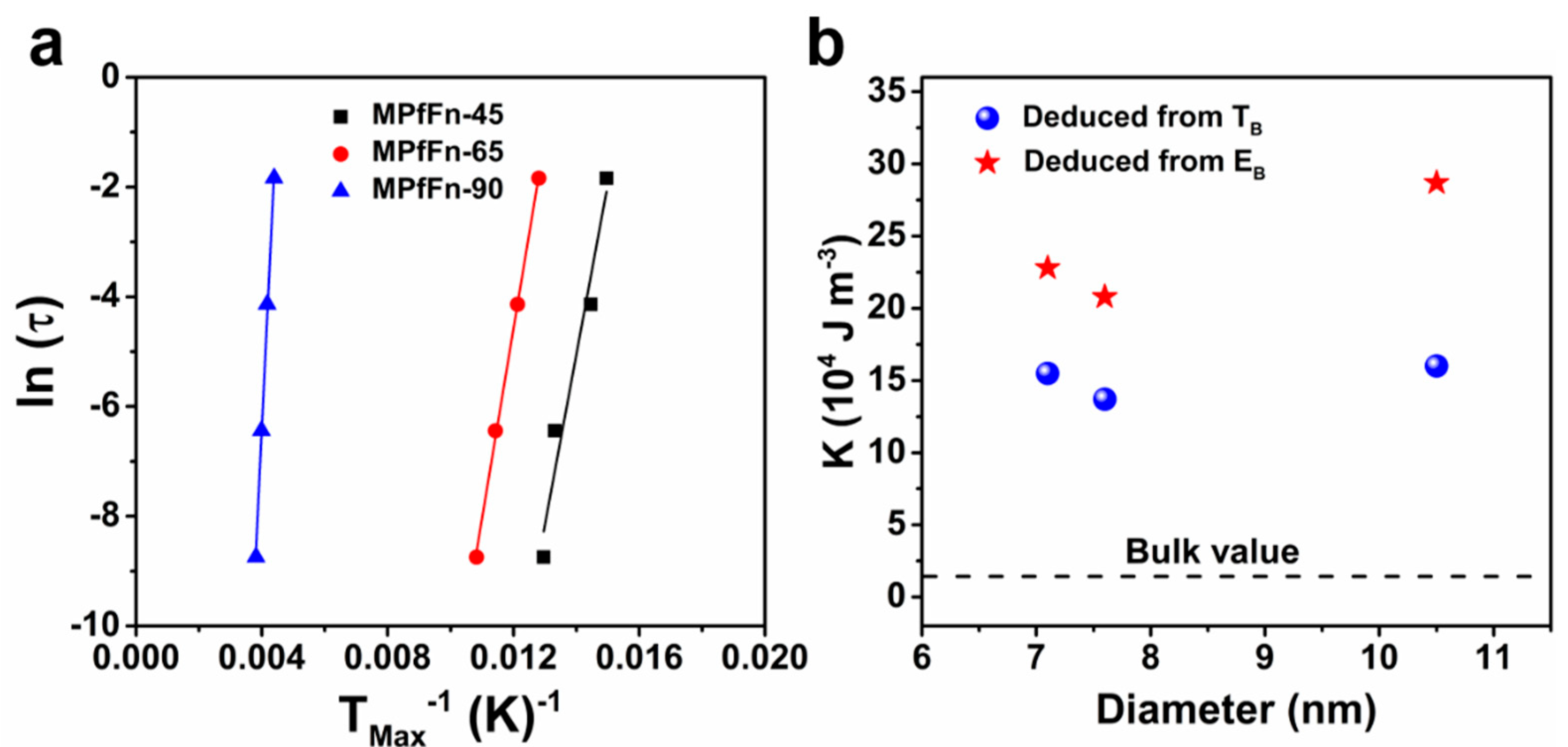 Ijms 23 04012 g007 Ijms 23 04012 g007