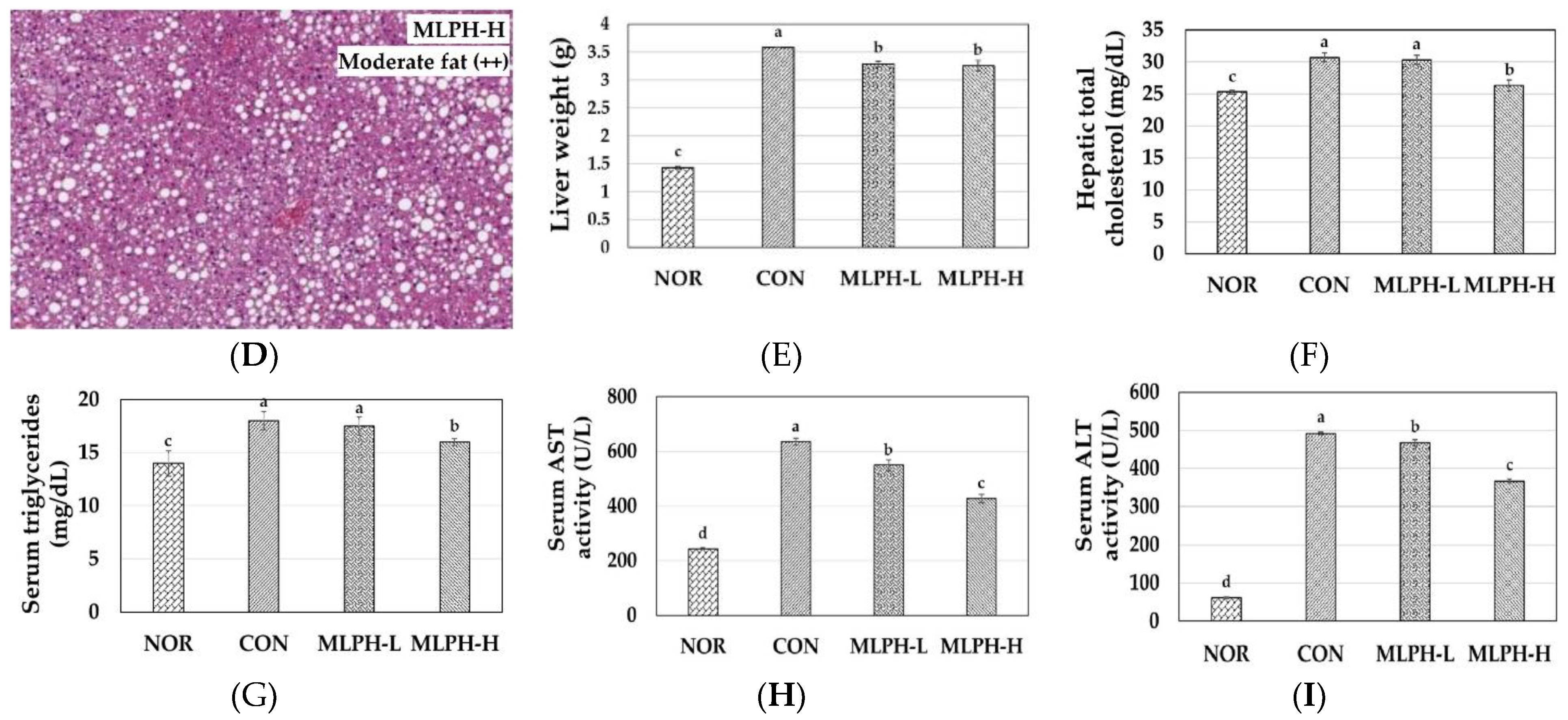 Ijms 23 04015 g004b Ijms 23 04015 g004b