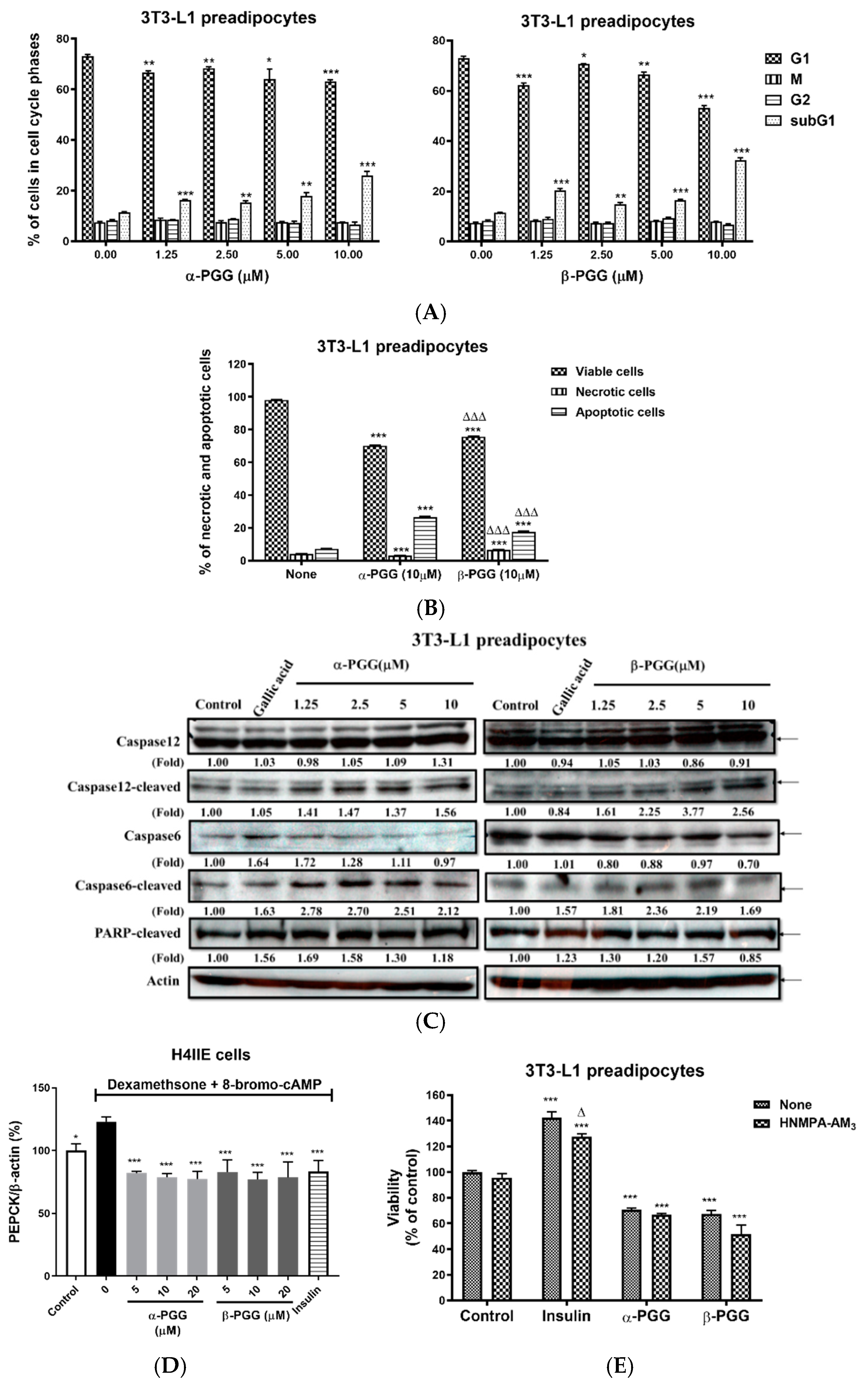 Ijms 23 04052 g002 Ijms 23 04052 g002