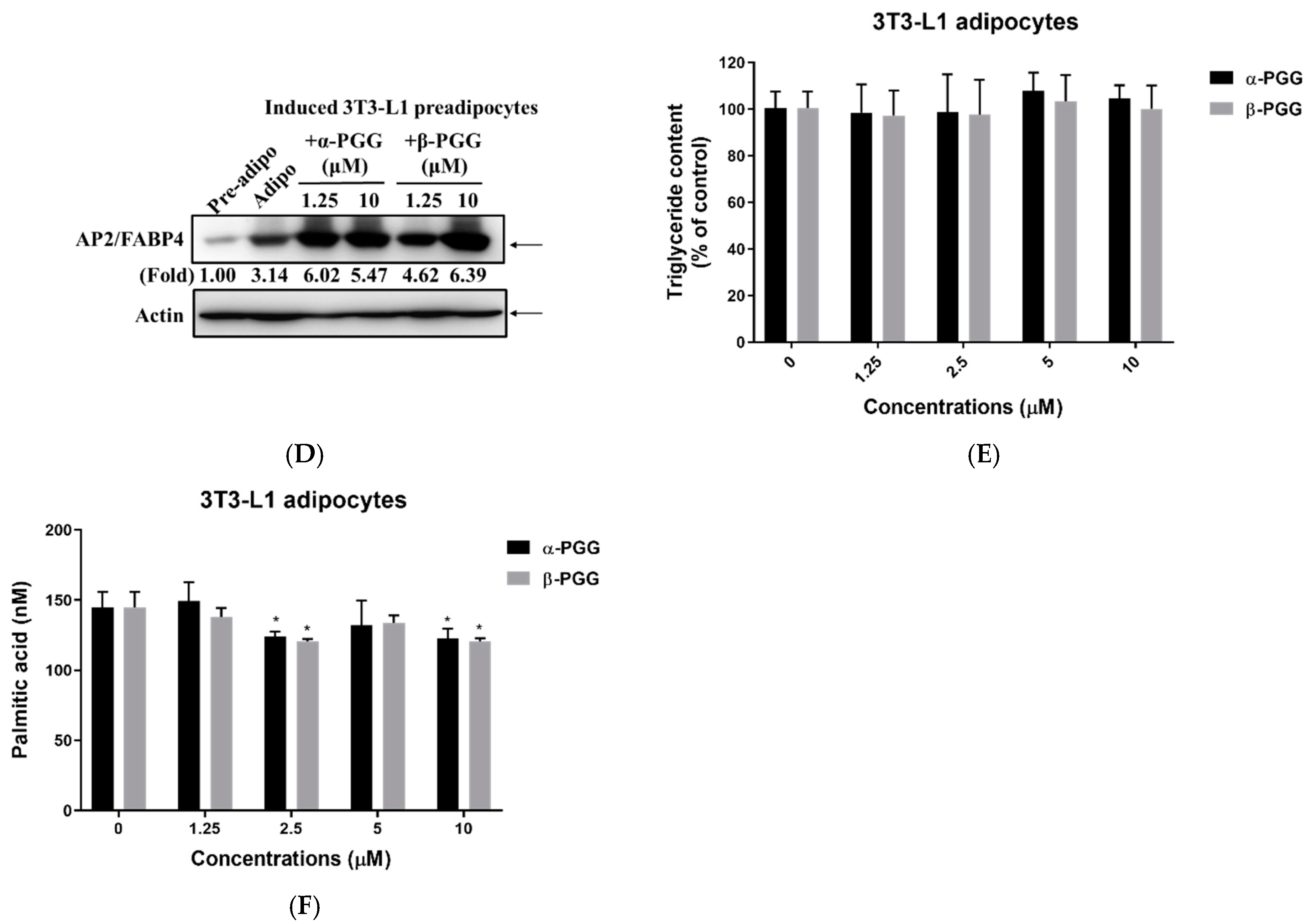 Ijms 23 04052 g003b Ijms 23 04052 g003b