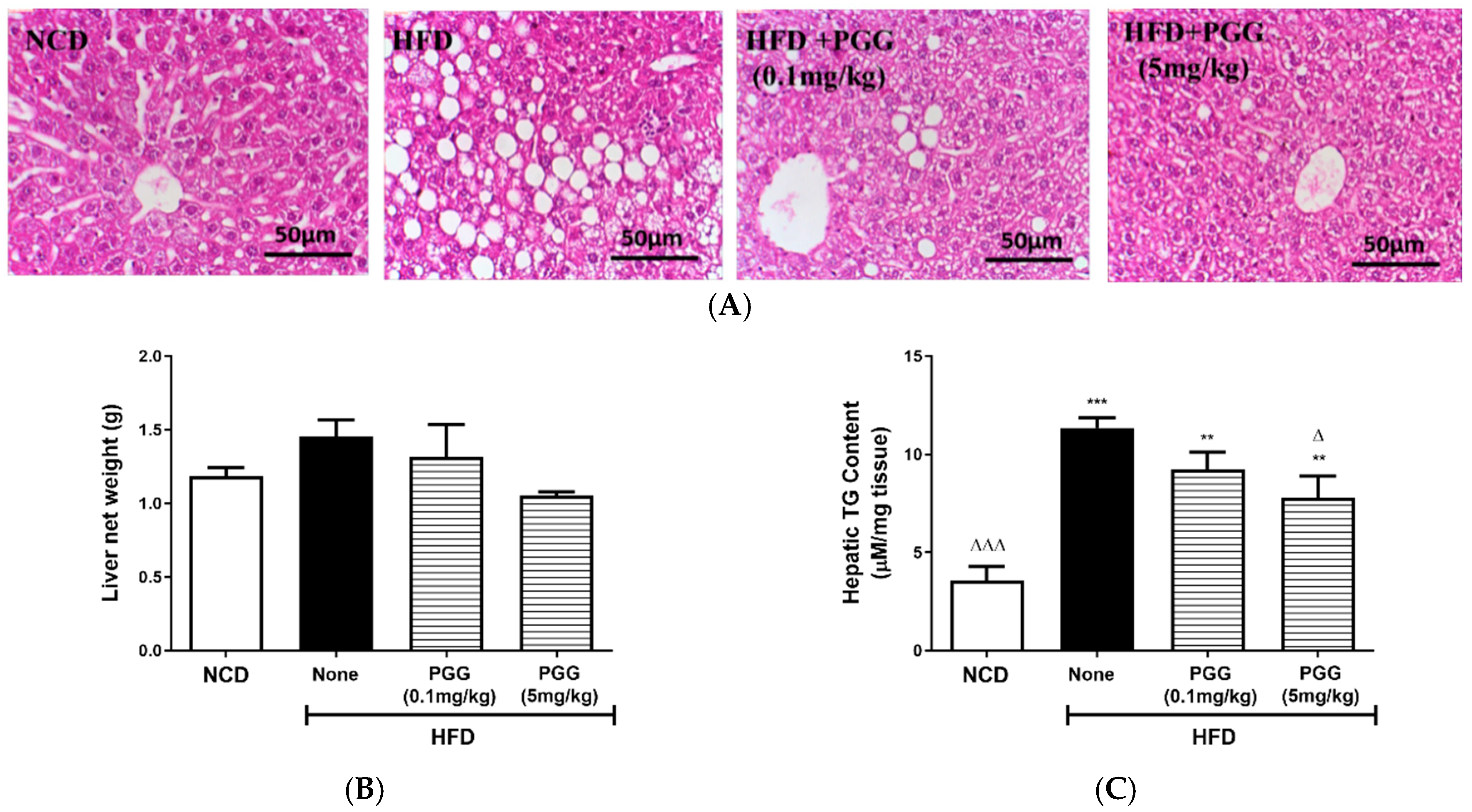 Ijms 23 04052 g005a Ijms 23 04052 g005a