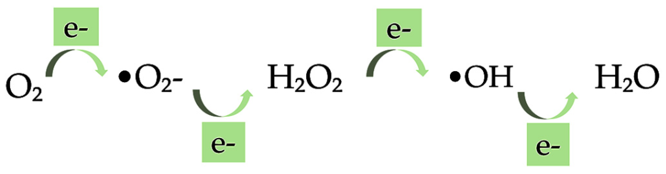 Ijms 23 04102 g005 Ijms 23 04102 g005