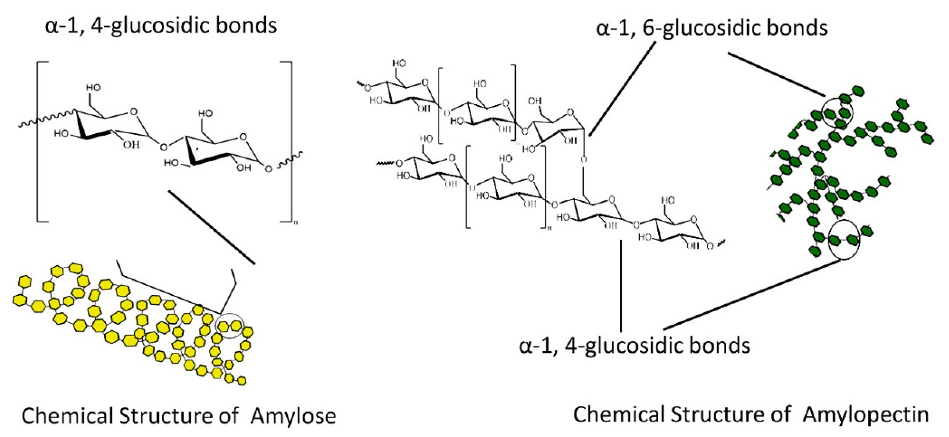 Ijms 23 04102 g009 Ijms 23 04102 g009