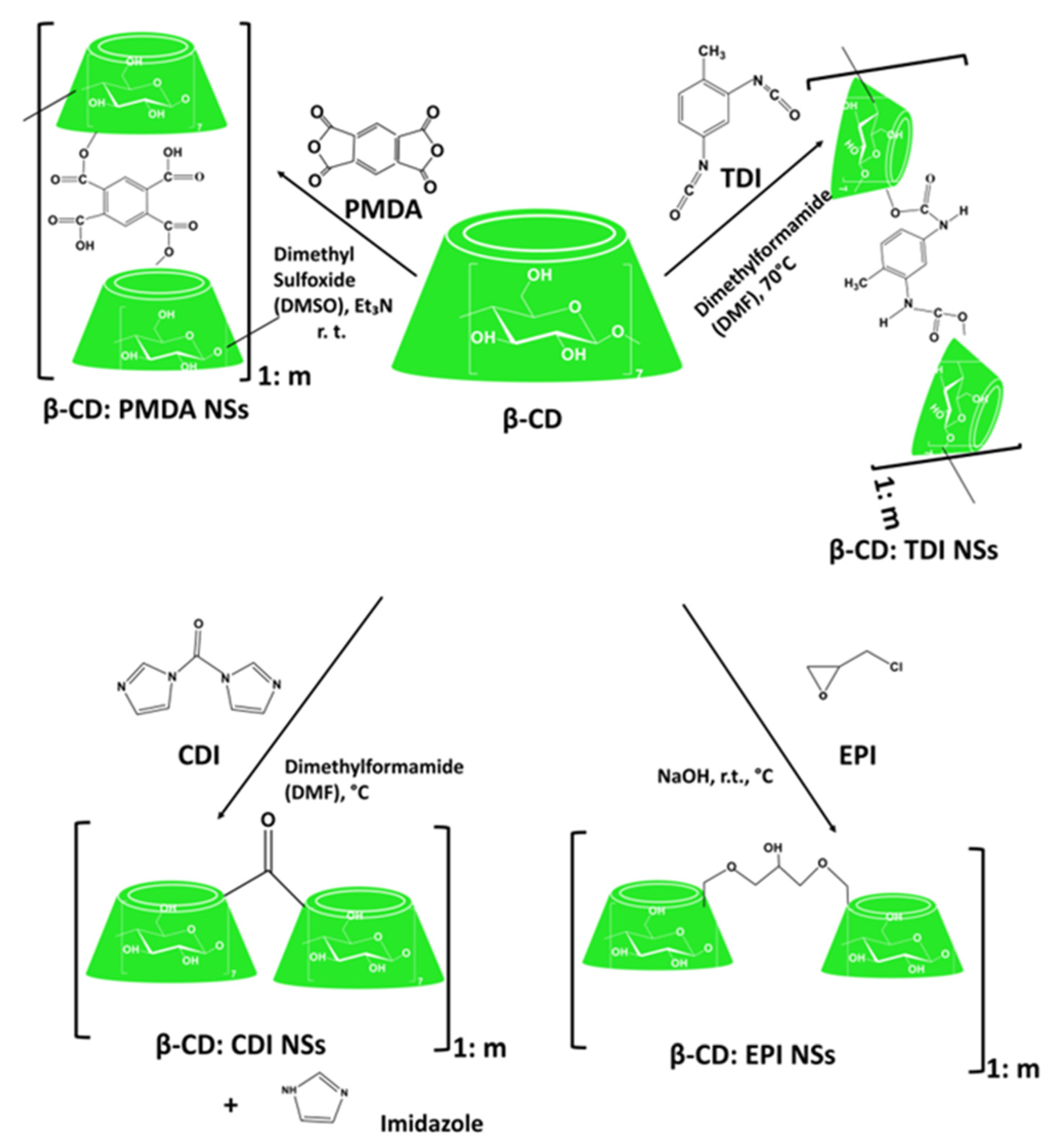 Ijms 23 04102 g012 Ijms 23 04102 g012