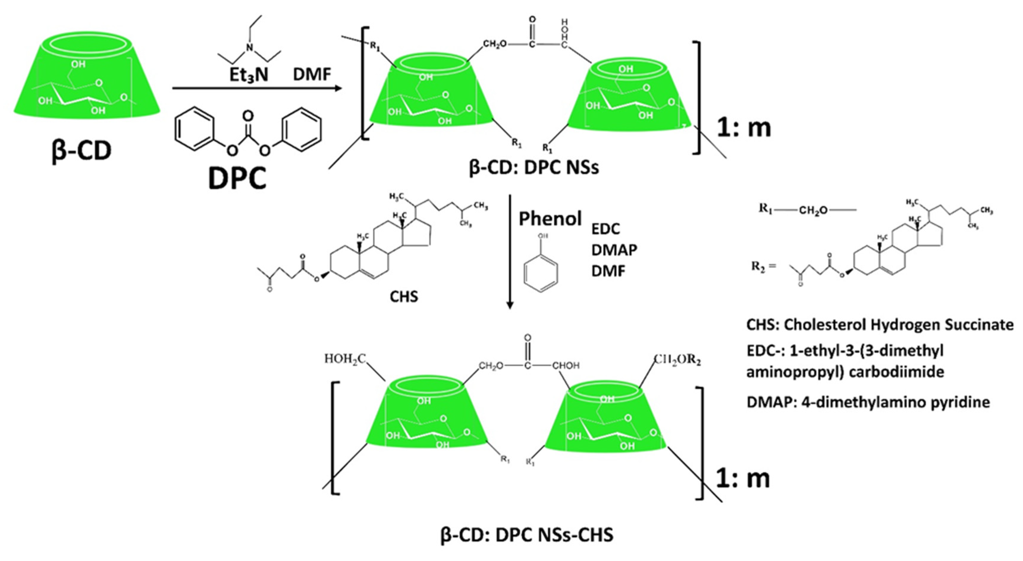 Ijms 23 04102 g013 Ijms 23 04102 g013